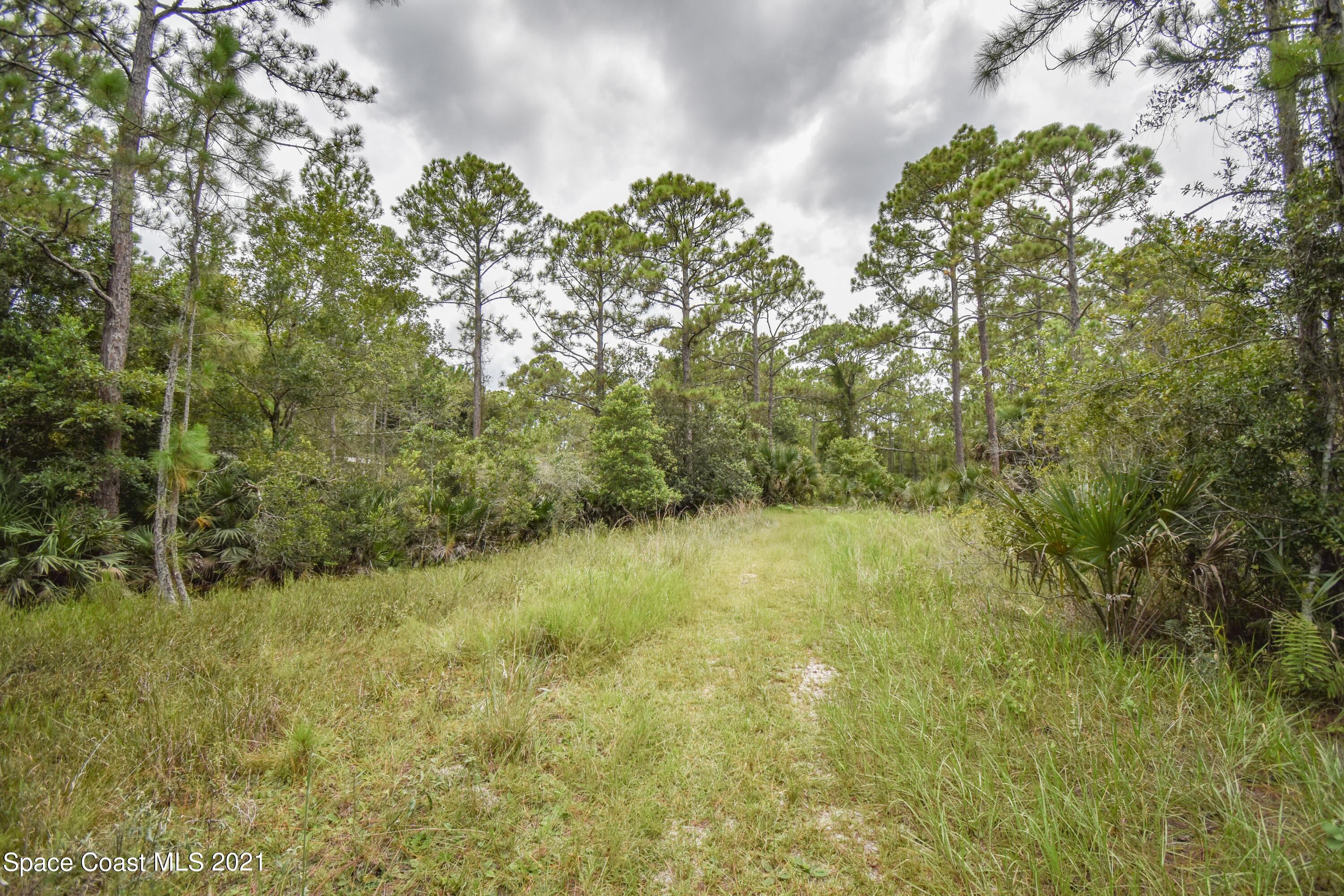 10471 Epiphyte Road Mims, FL 32754 - Photo 11 of 34 DSC_0106