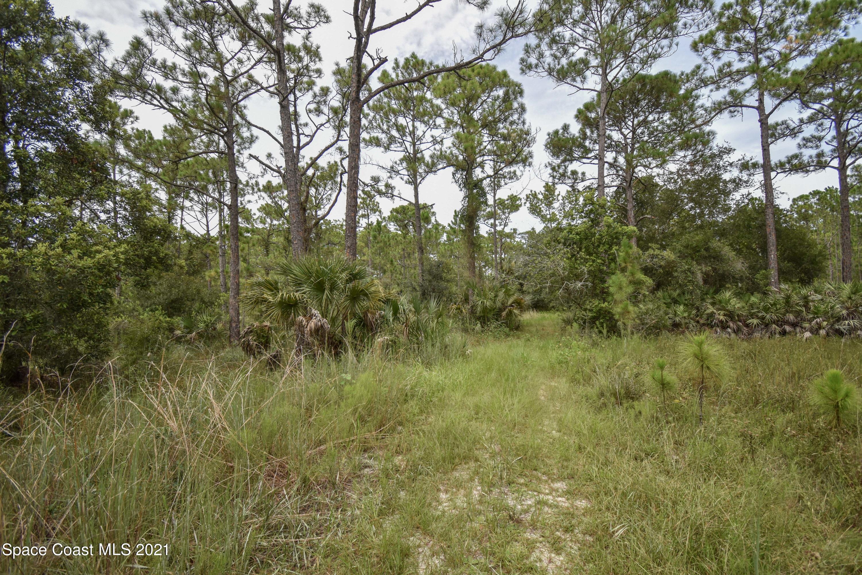 10471 Epiphyte Road Mims, FL 32754 - Photo 12 of 34 DSC_0107