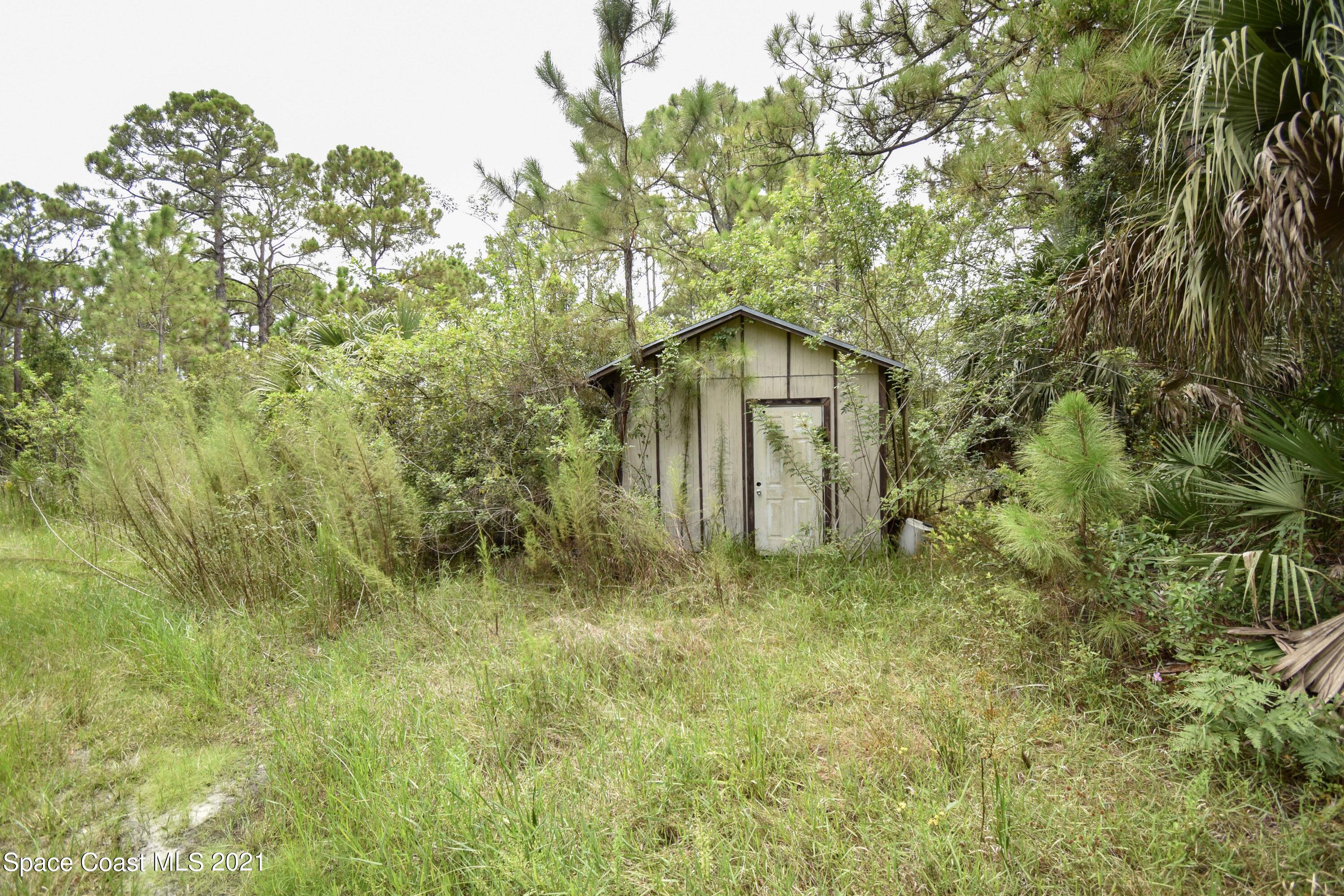 10471 Epiphyte Road Mims, FL 32754 - Photo 14 of 34 DSC_0109