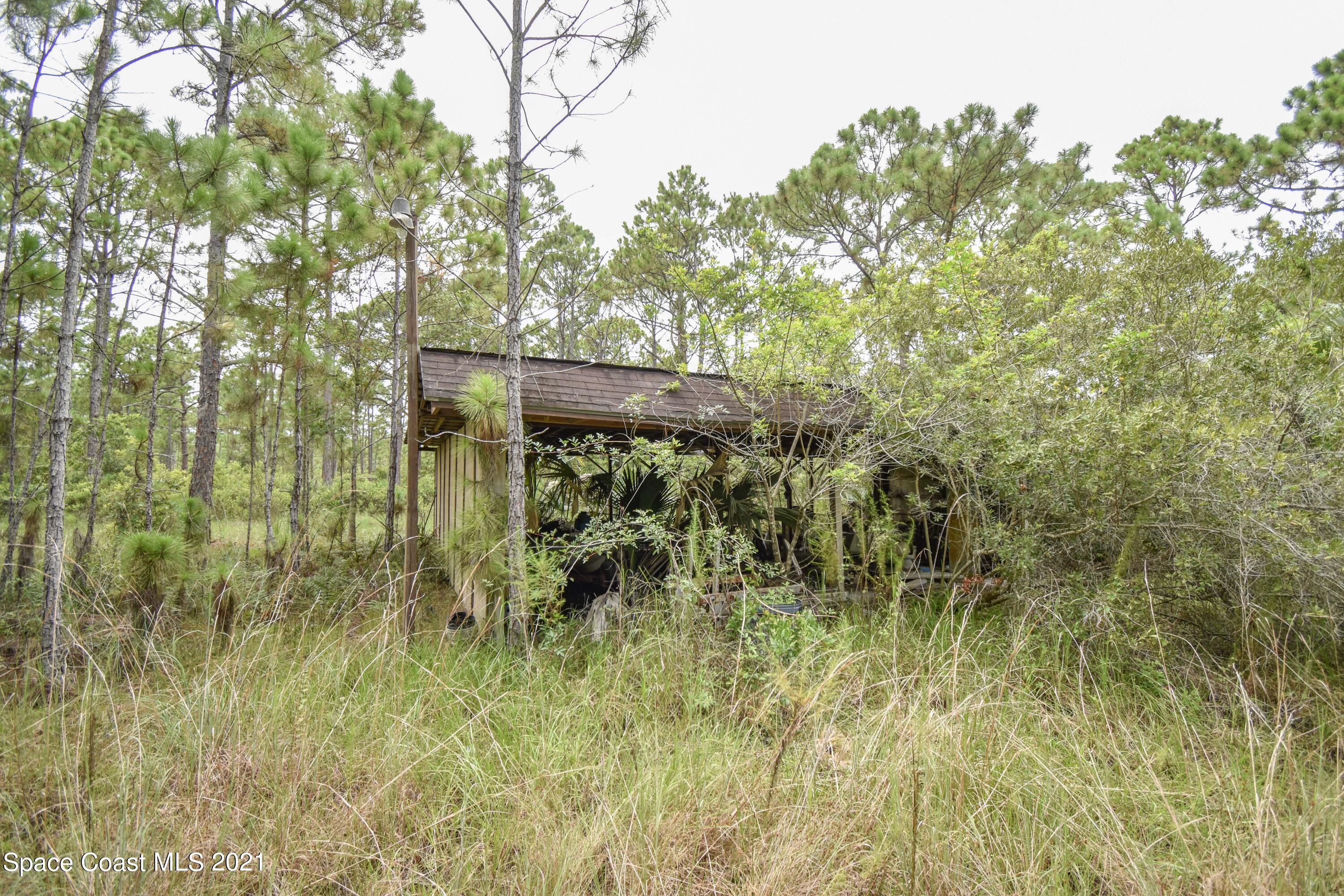 10471 Epiphyte Road Mims, FL 32754 - Photo 16 of 34 DSC_0111
