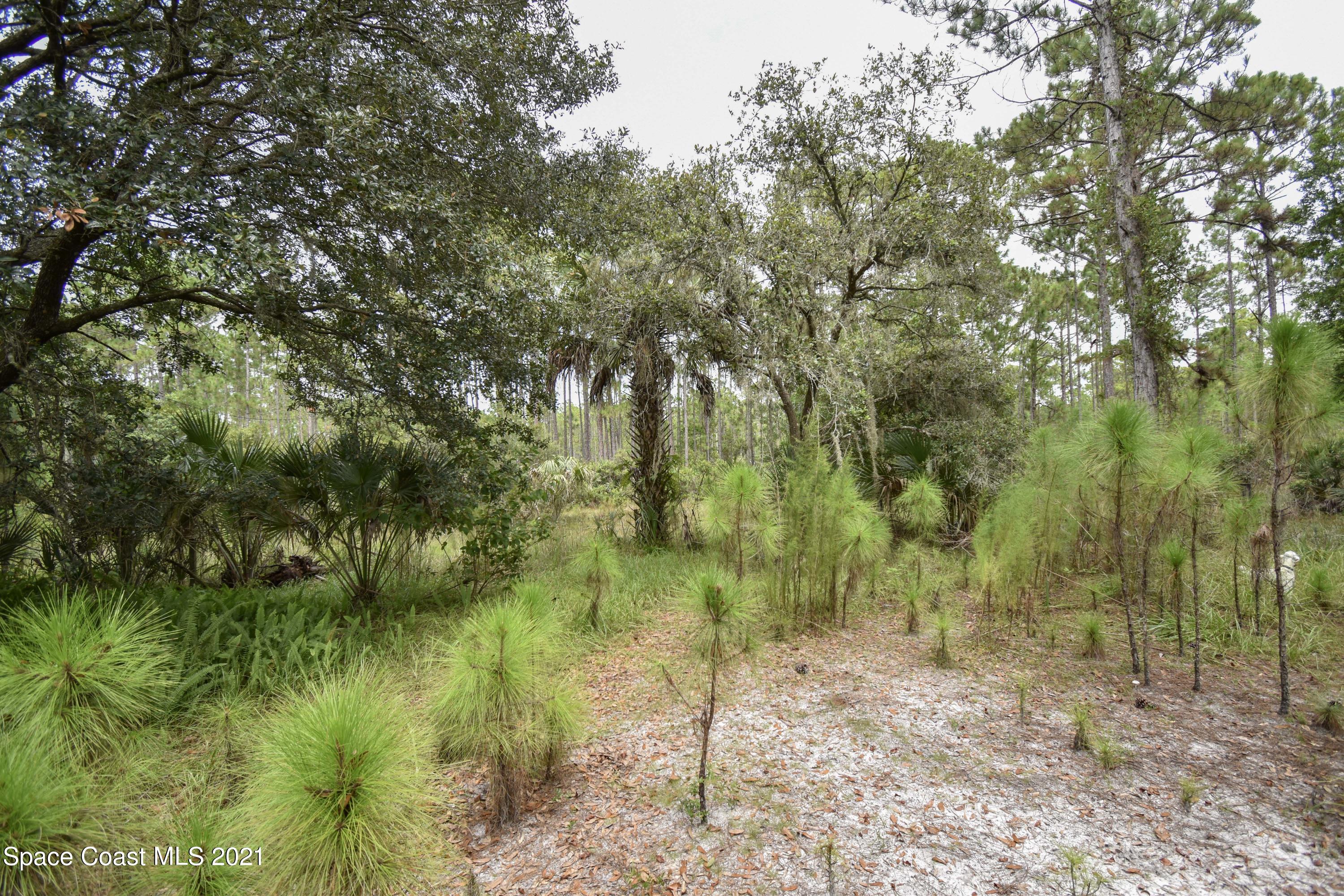 10471 Epiphyte Road Mims, FL 32754 - Photo 21 of 34 DSC_0117