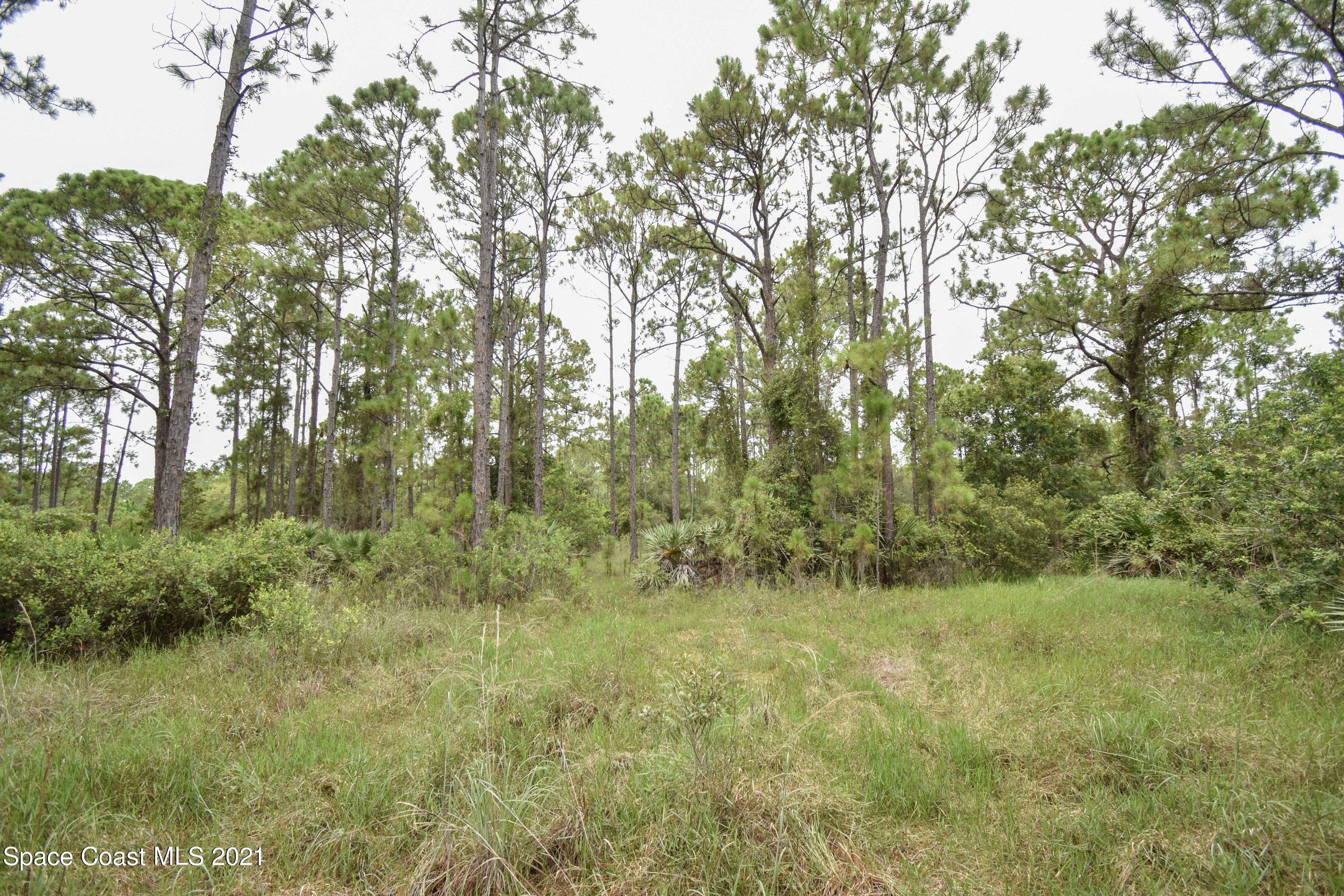 10471 Epiphyte Road Mims, FL 32754 - Photo 22 of 34 DSC_0118