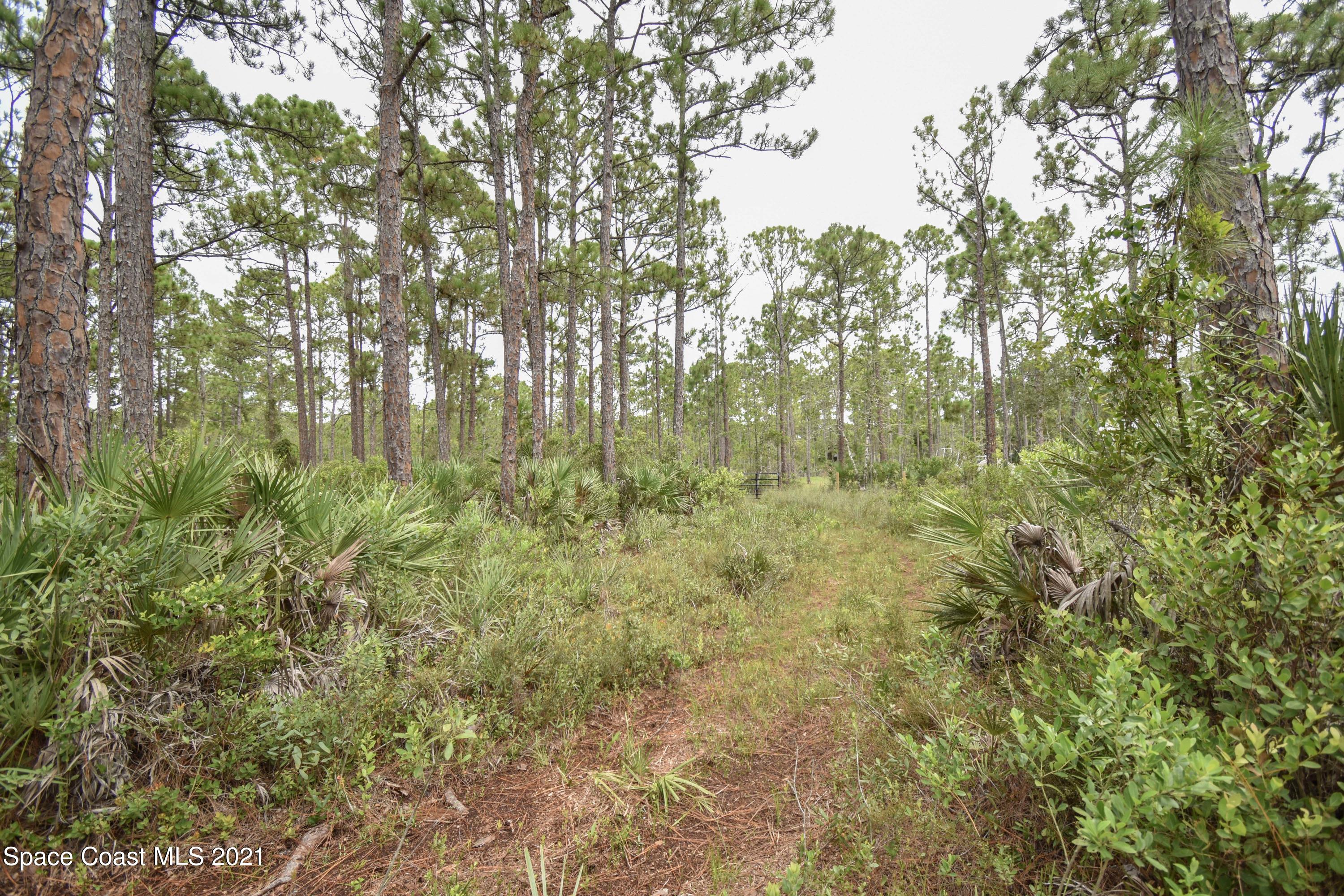 10471 Epiphyte Road Mims, FL 32754 - Photo 24 of 34 DSC_0120