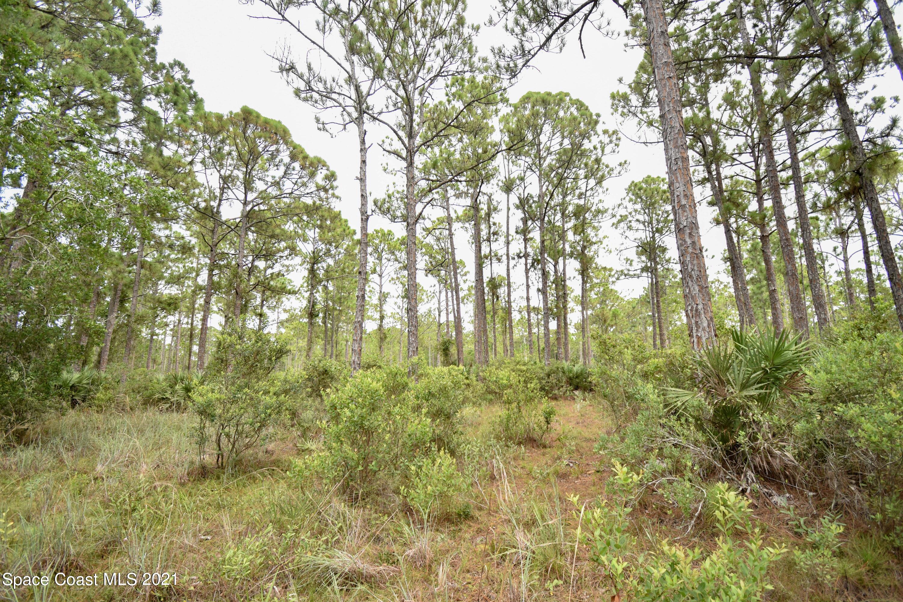 10471 Epiphyte Road Mims, FL 32754 - Photo 25 of 34 DSC_0121