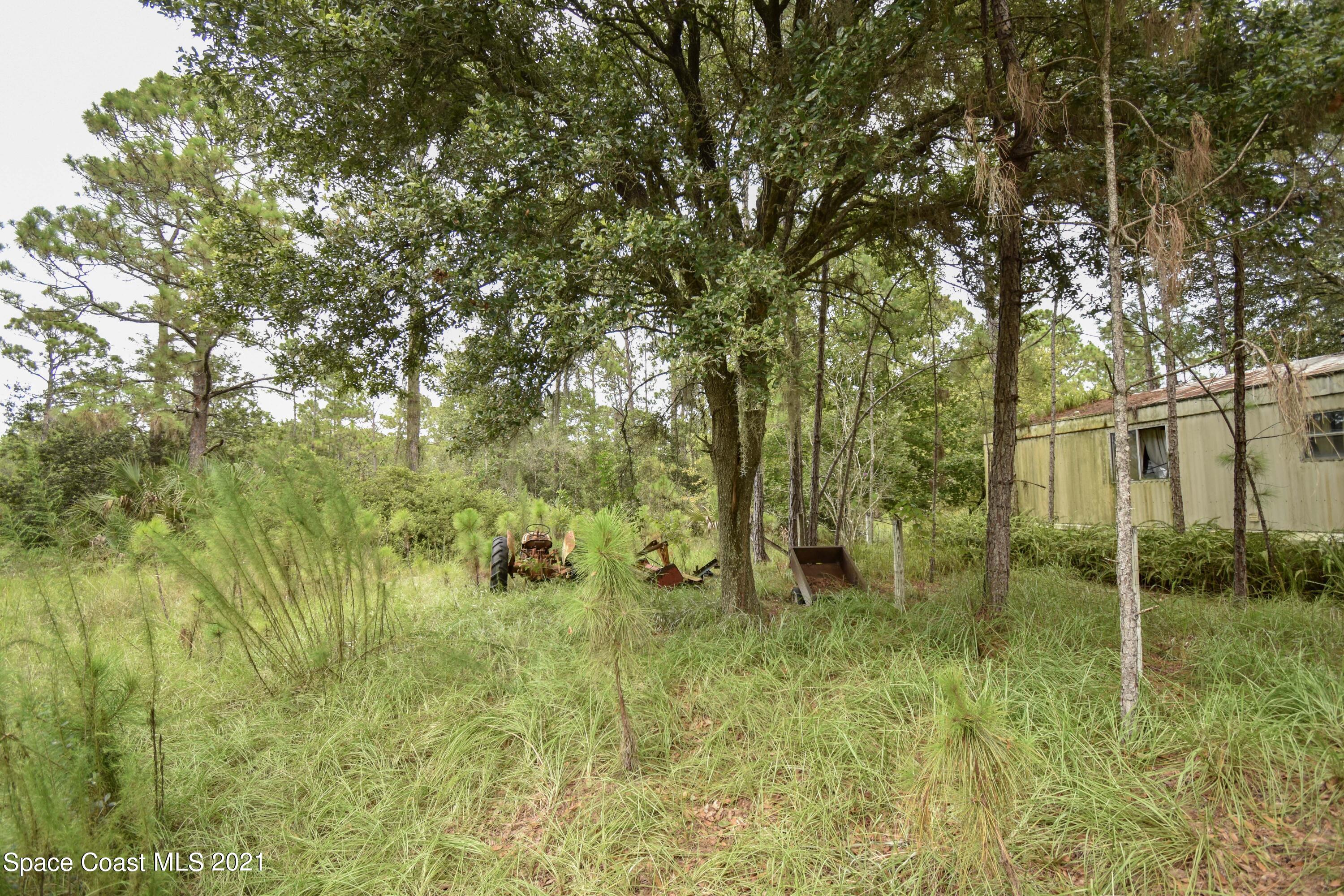 10471 Epiphyte Road Mims, FL 32754 - Photo 26 of 34 DSC_0122
