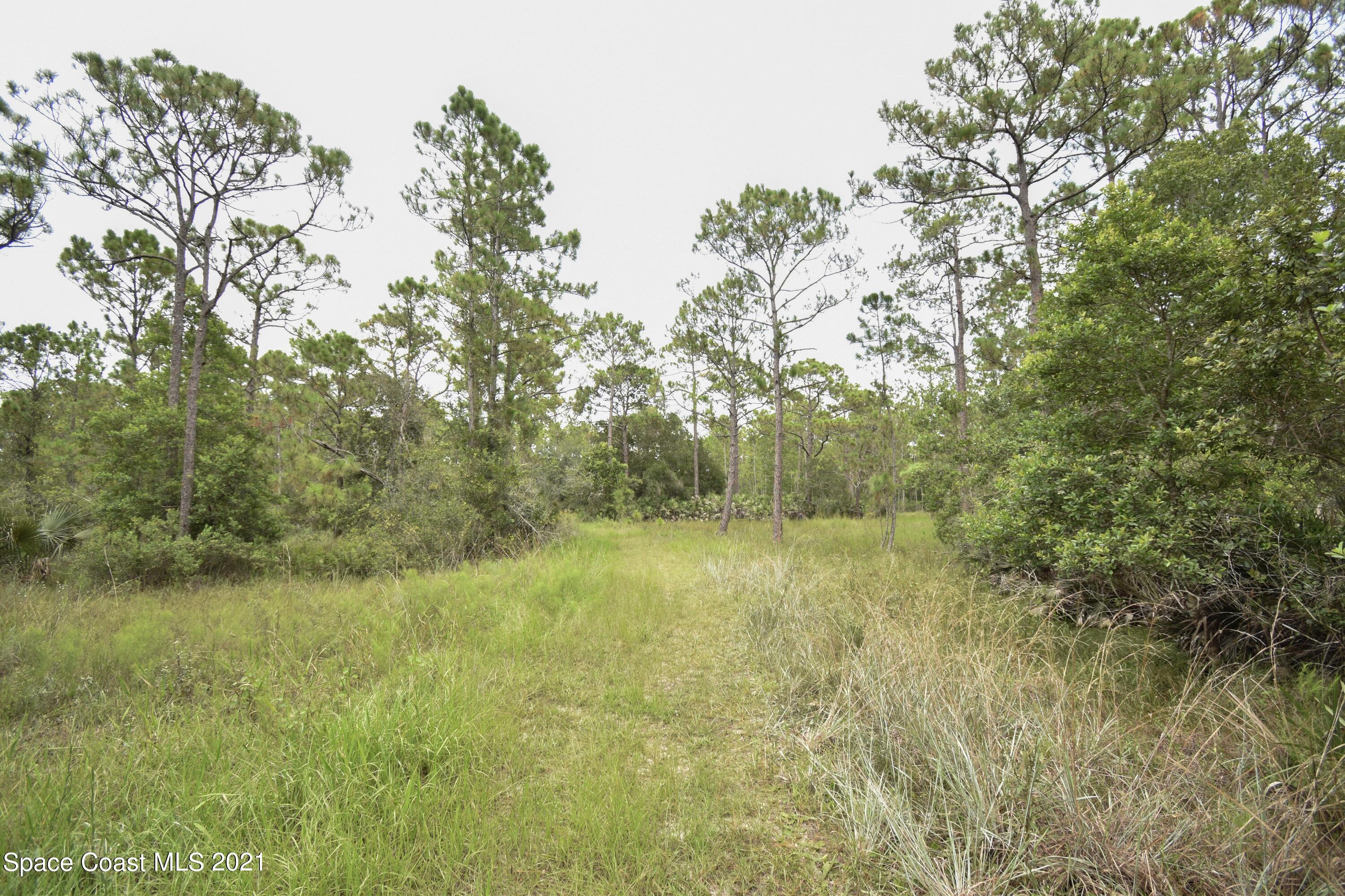 10471 Epiphyte Road Mims, FL 32754 - Photo 28 of 34 DSC_0124
