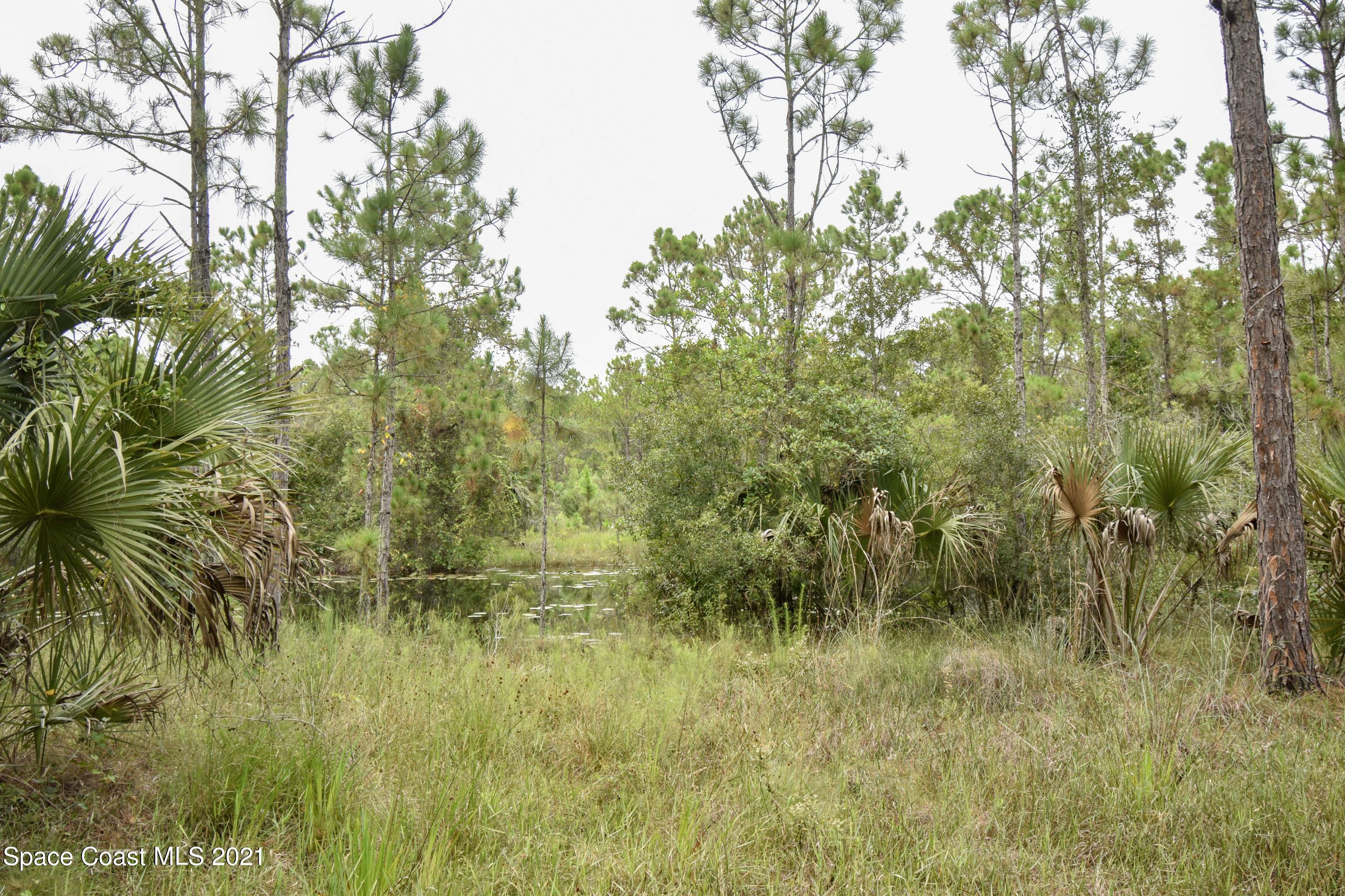 10471 Epiphyte Road Mims, FL 32754 - Photo 29 of 34 DSC_0125