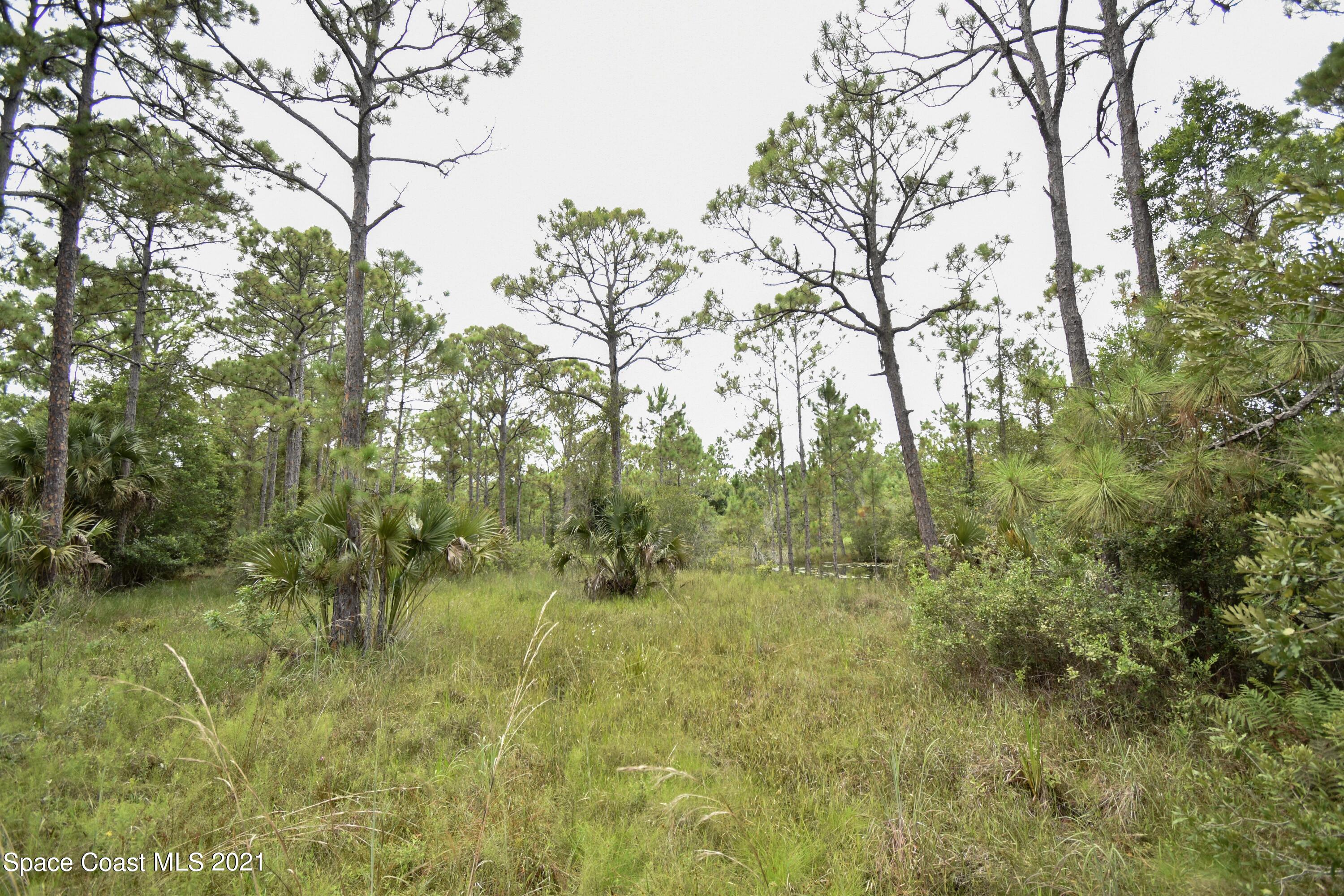 10471 Epiphyte Road Mims, FL 32754 - Photo 30 of 34 DSC_0126