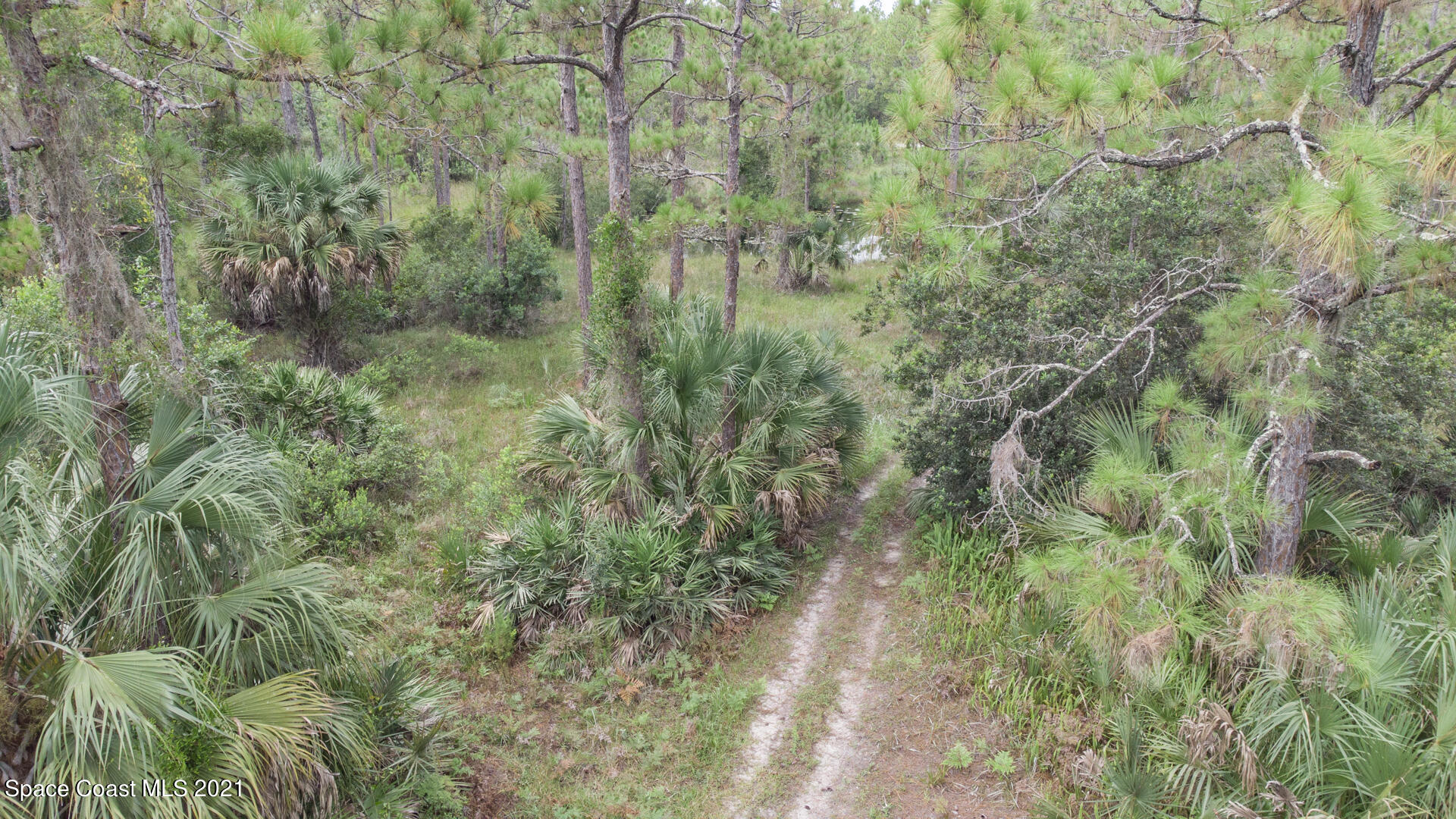 10471 Epiphyte Road Mims, FL 32754 - Photo 5 of 34 DJI_0203