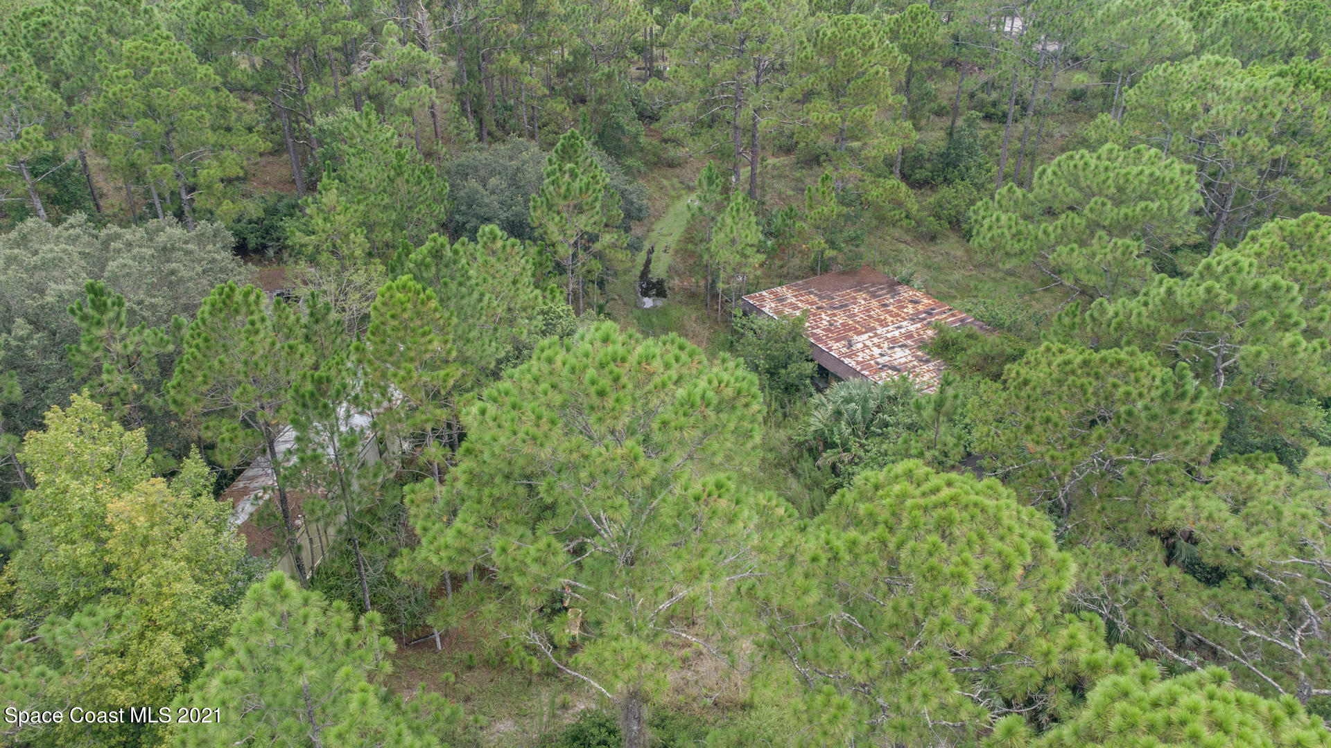 10471 Epiphyte Road Mims, FL 32754 - Photo 6 of 34 DJI_0204
