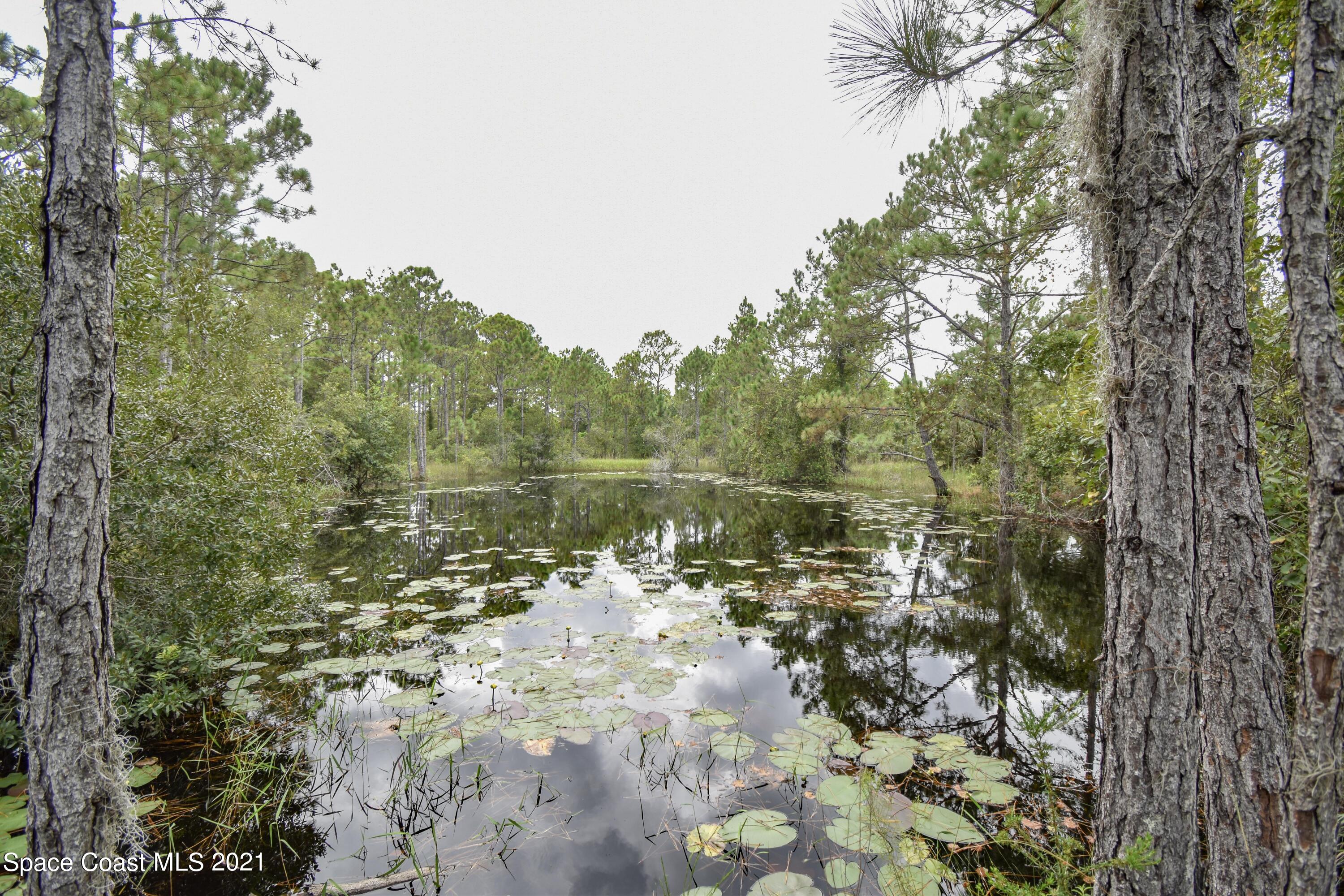 10471 Epiphyte Road Mims, FL 32754 - Photo 7 of 34 DSC_0128