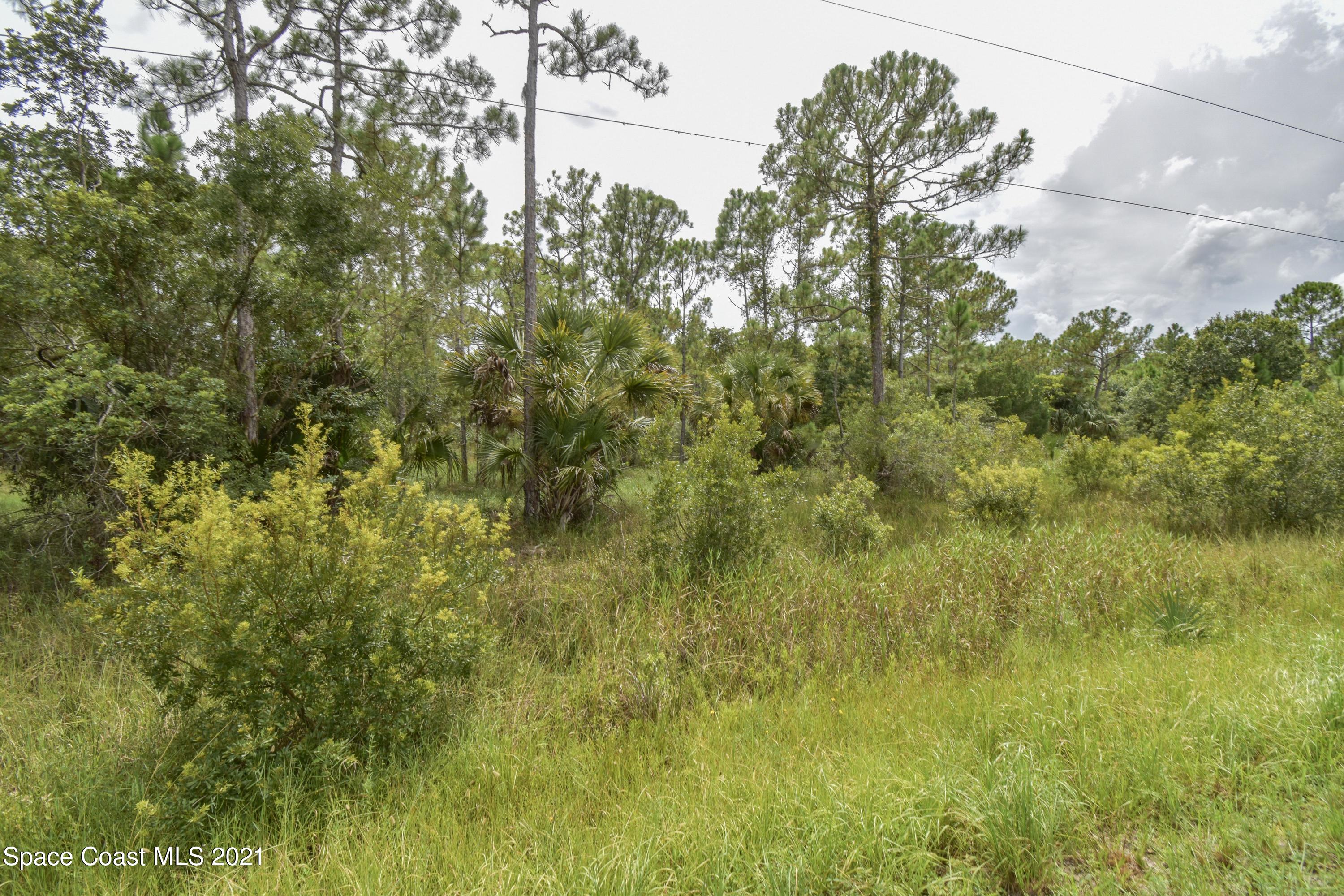 10471 Epiphyte Road Mims, FL 32754 - Photo 8 of 34 DSC_0099