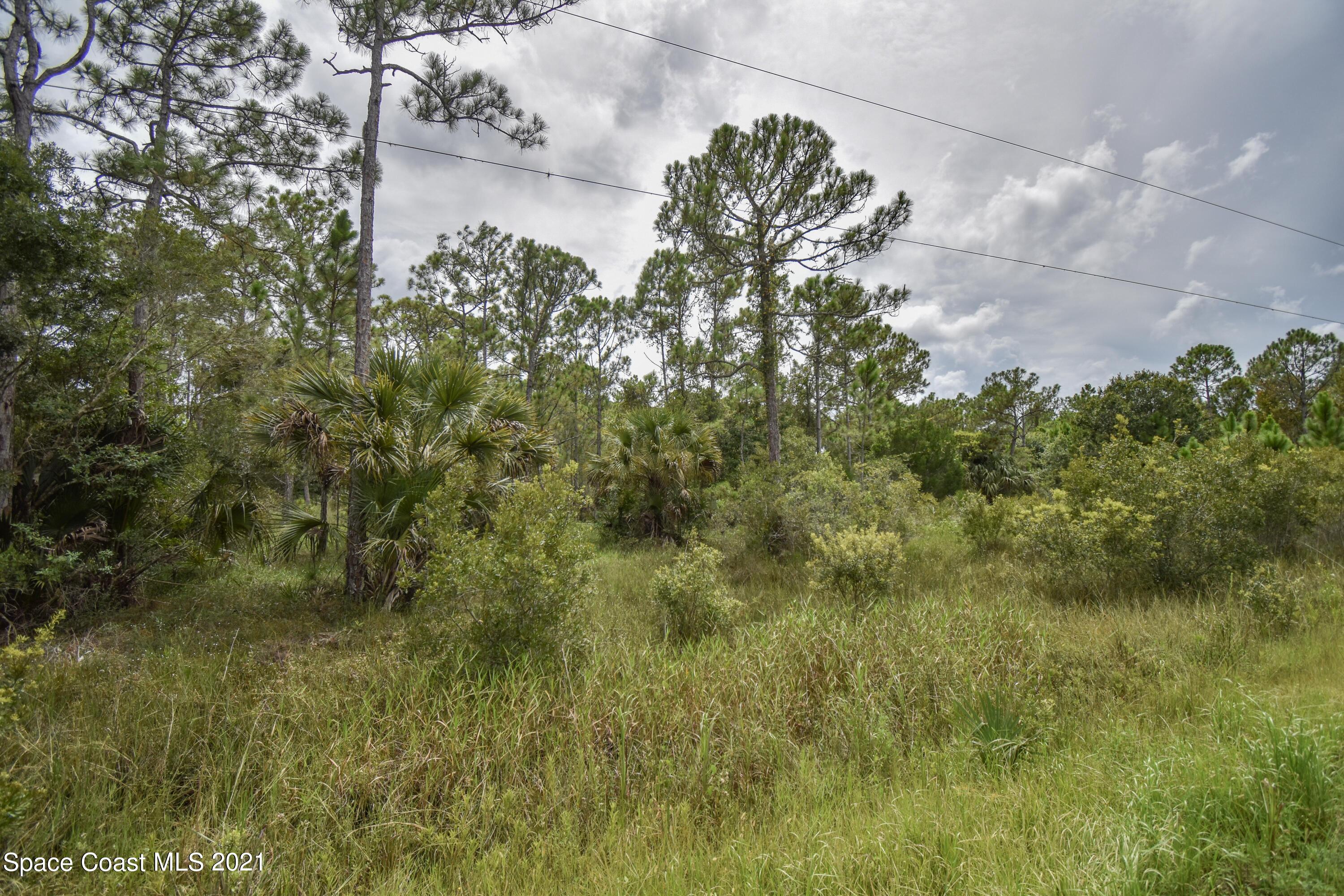10471 Epiphyte Road Mims, FL 32754 - Photo 9 of 34 DSC_0100