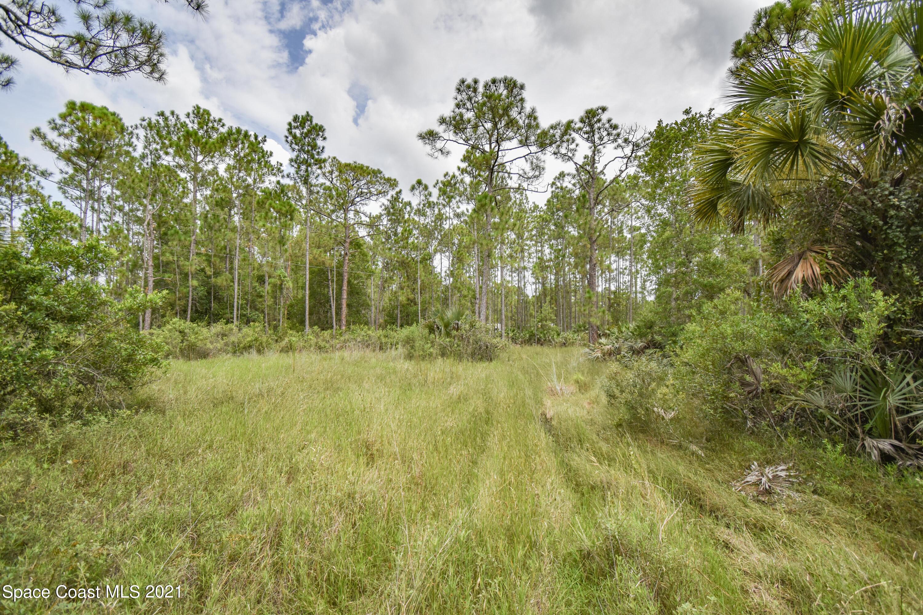 10471 Epiphyte Road Mims, FL 32754 - Photo 10 of 34 DSC_0103