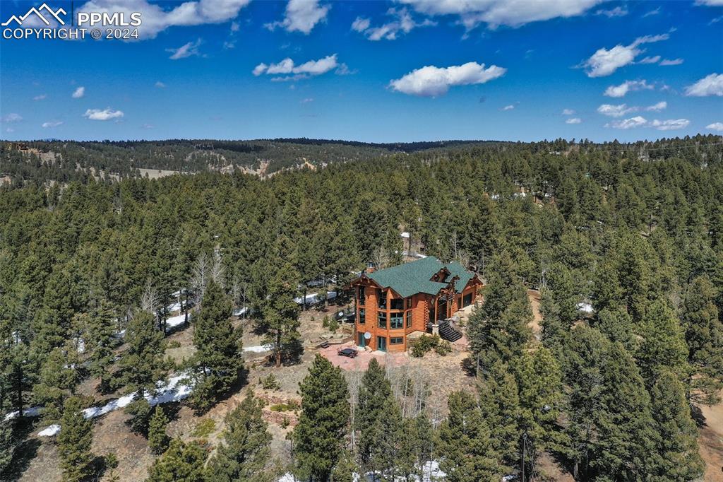 527 Cougar Point Divide, CO 80814 - Photo 3 of 50