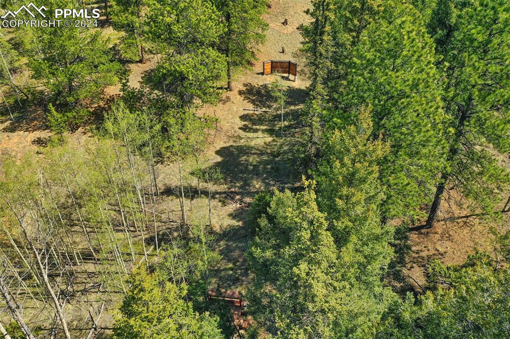 527 Cougar Point Divide, CO 80814 - Photo 44 of 50 a view of a yard