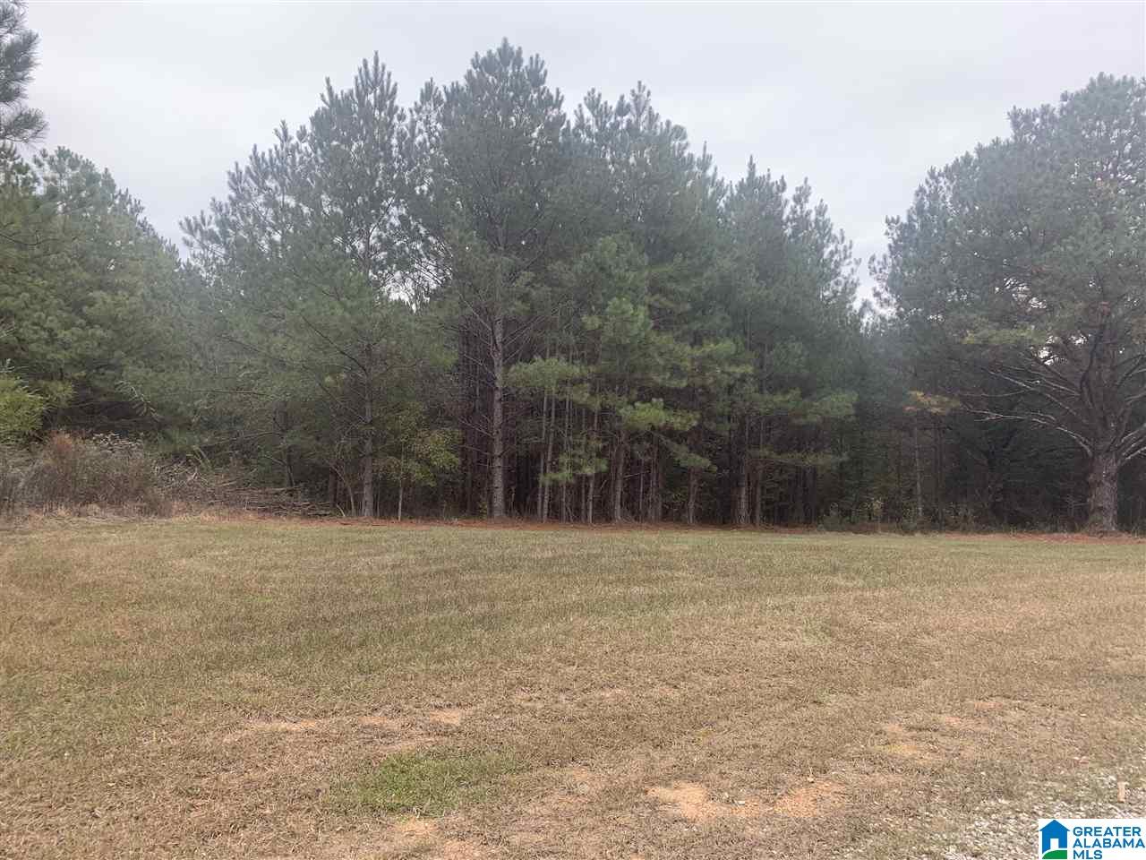0 Homestead Drive, Unit 1 Springville, AL 35146 - Photo 31 of 32