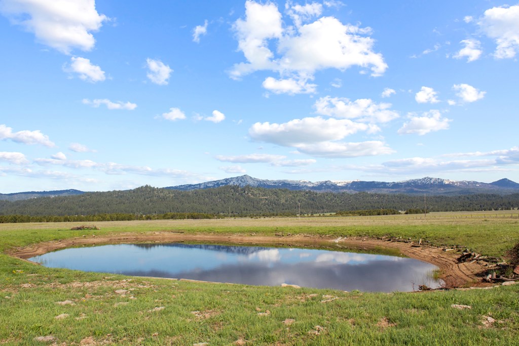 Sixty Sixty Lane Cascade, ID 83611 - Photo 7 of 16 Stock Pond on Property