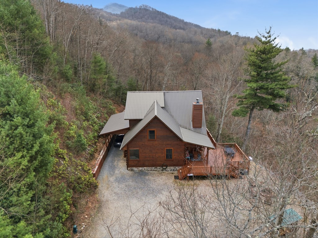 830 Noon Day Sun Ridge Topton, NC 28781 - Photo 6 of 59