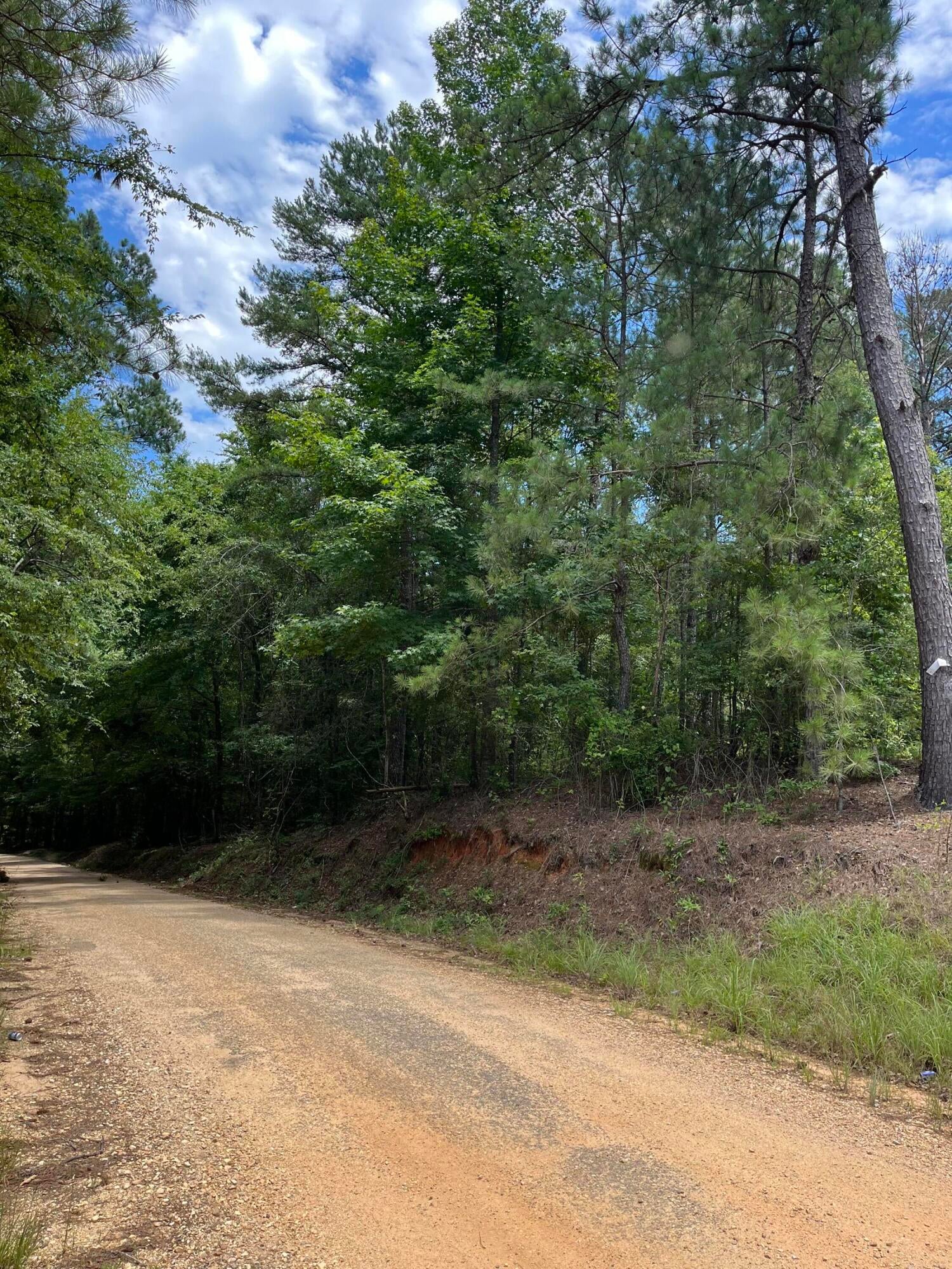 Tbd Tryus Bracken Road Sontag, MS 39665 - Photo 1 of 1 Photo Jun 12 2024, 1 38 37 PM