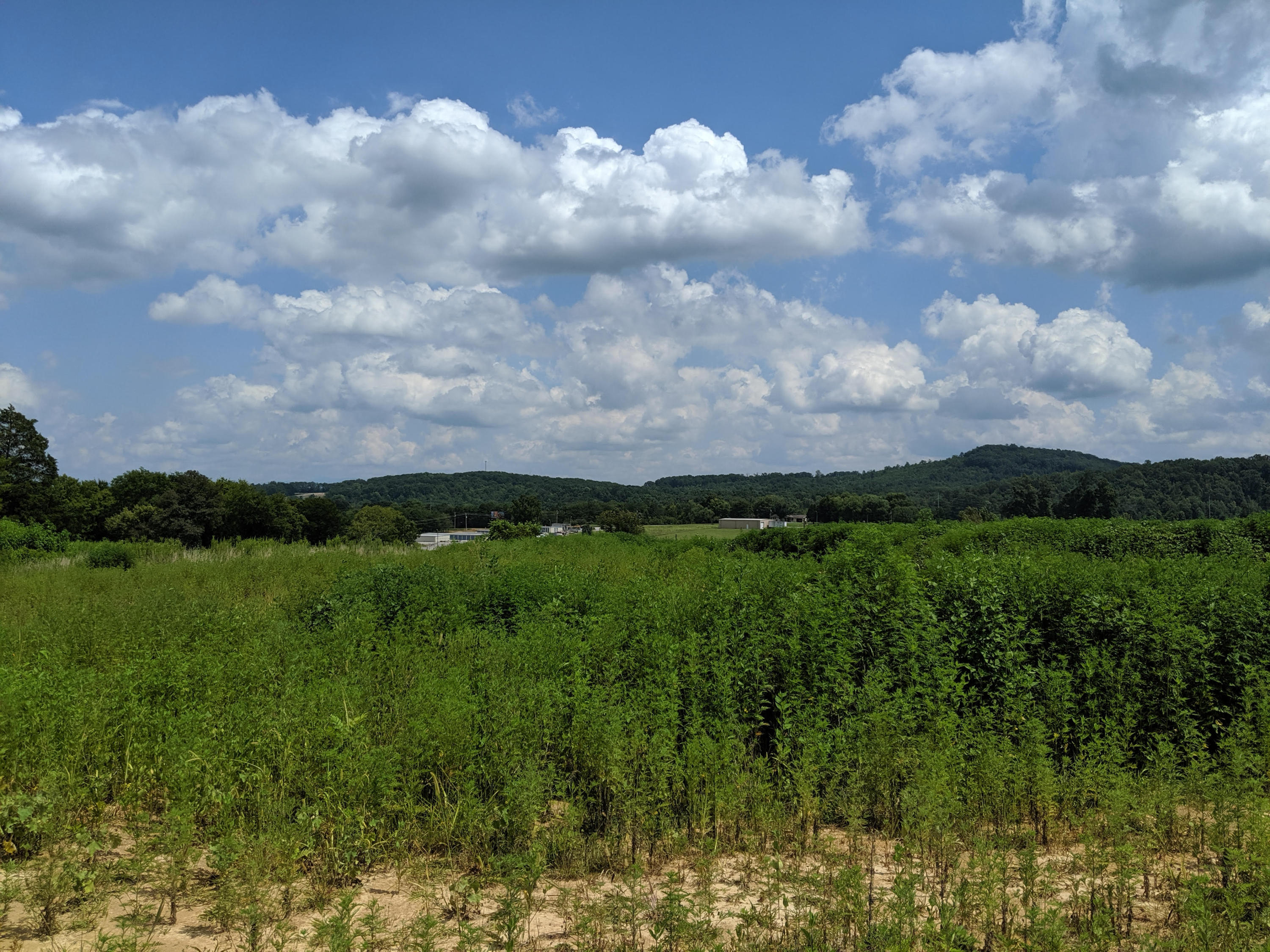 Gun Ridge Rd