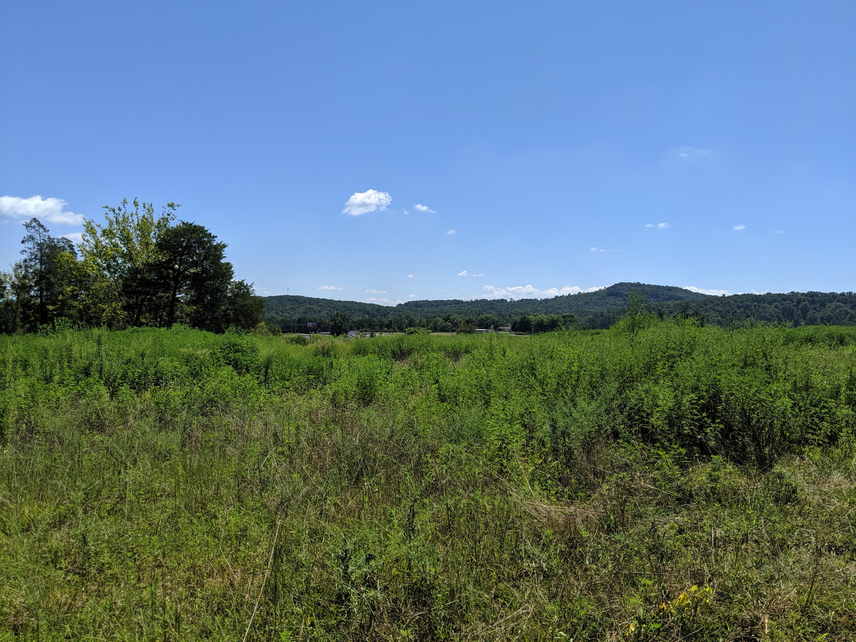 Gun Ridge Road Vonore, TN 37885 - Photo 5 of 8 Gun Ridge 4