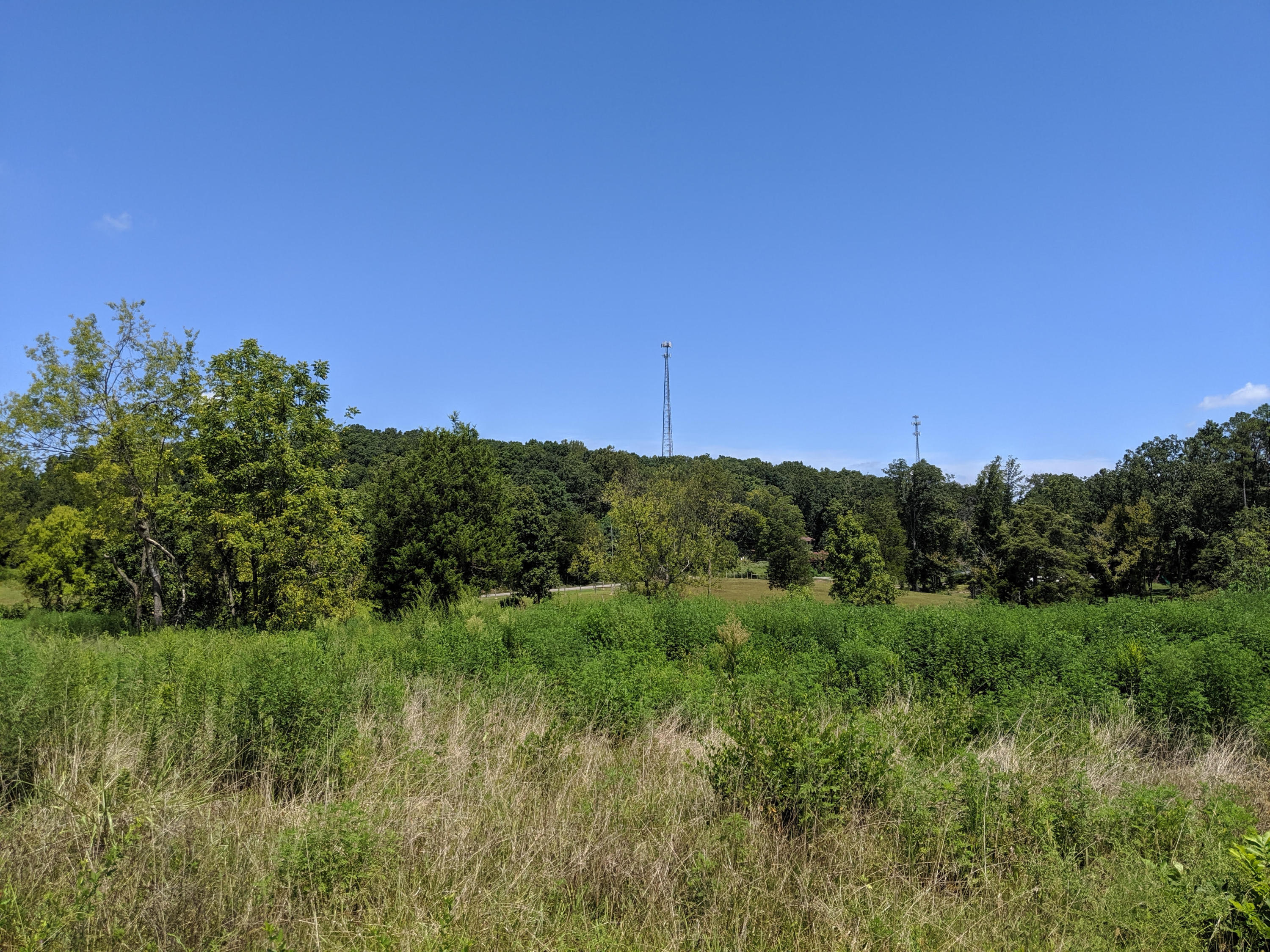 Gun Ridge Road Vonore, TN 37885 - Photo 6 of 8 Gun Ridge 5