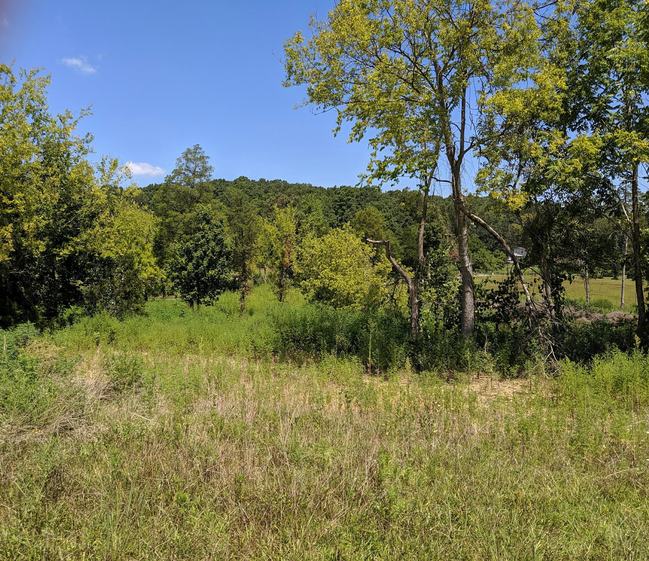 Gun Ridge Road Vonore, TN 37885 - Photo 8 of 8 Gun Ridge 7