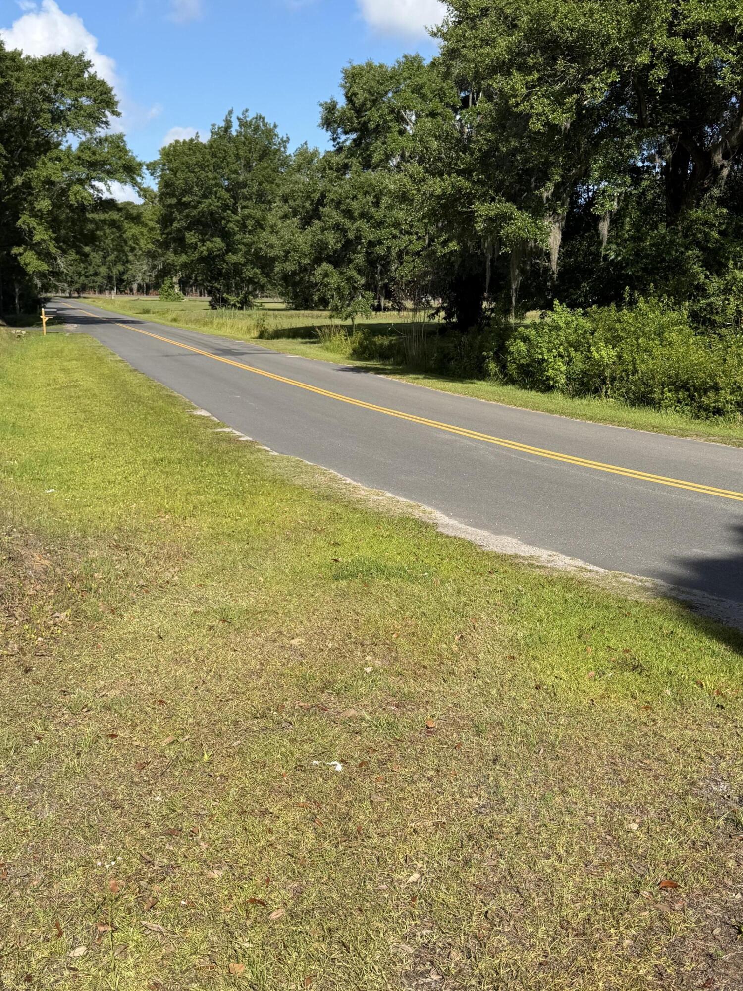 4139 Pritchard Green Road, Unit X2C Mount Pleasant, SC 29429 - Photo 9 of 11 Road View
