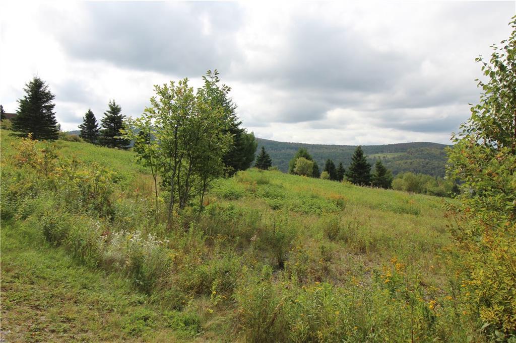 Lot 7 Morel Road Rangeley, ME 04970 - Photo 7 of 7 Photo