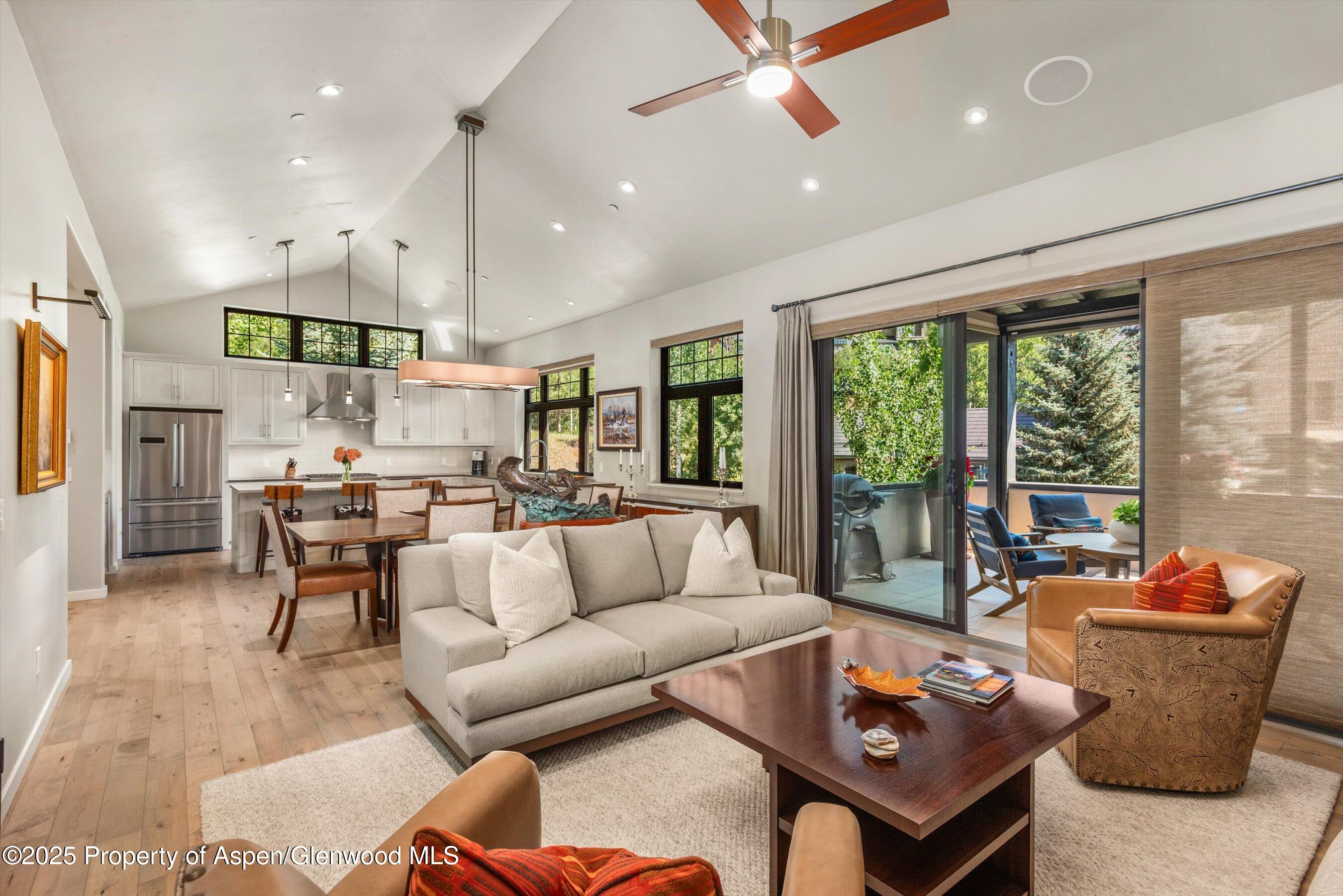 102 Wild Spring Lane Basalt, CO 81621 - Photo 11 of 51 a living room with furniture and a large window
