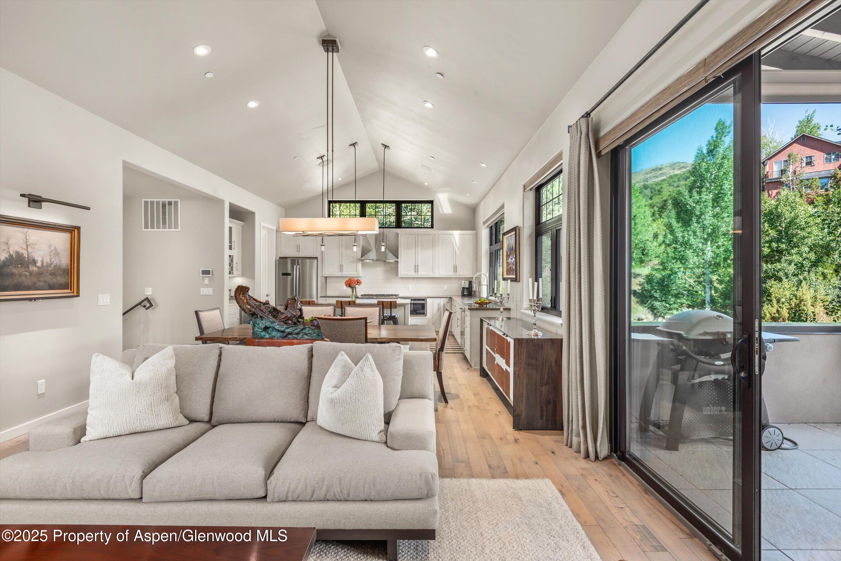 102 Wild Spring Lane Basalt, CO 81621 - Photo 13 of 51 a living room with furniture a large window and stainless steel appliances