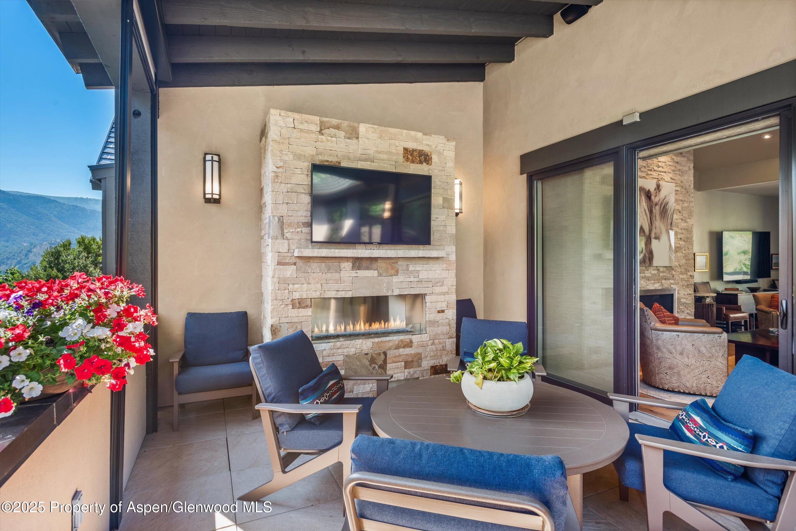 102 Wild Spring Lane Basalt, CO 81621 - Photo 14 of 51 a living room with furniture and a potted plant