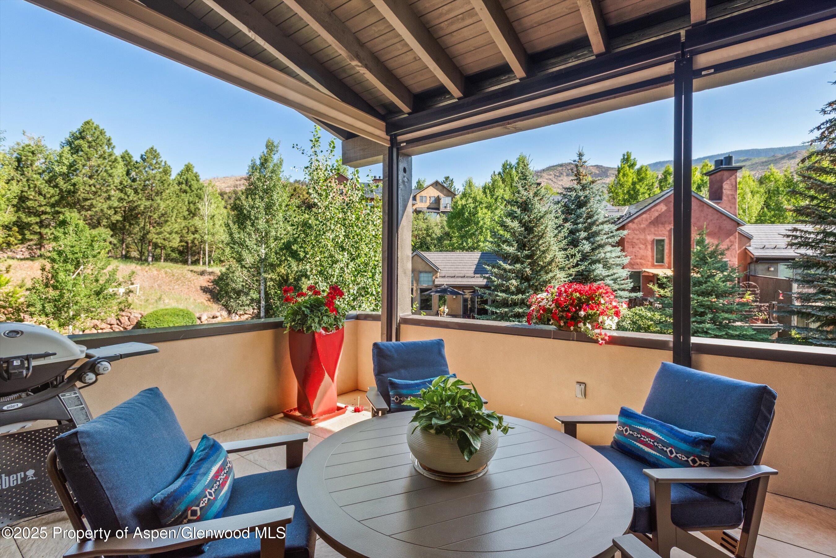 102 Wild Spring Lane Basalt, CO 81621 - Photo 16 of 51 a outdoor dining space with furniture and potted plants