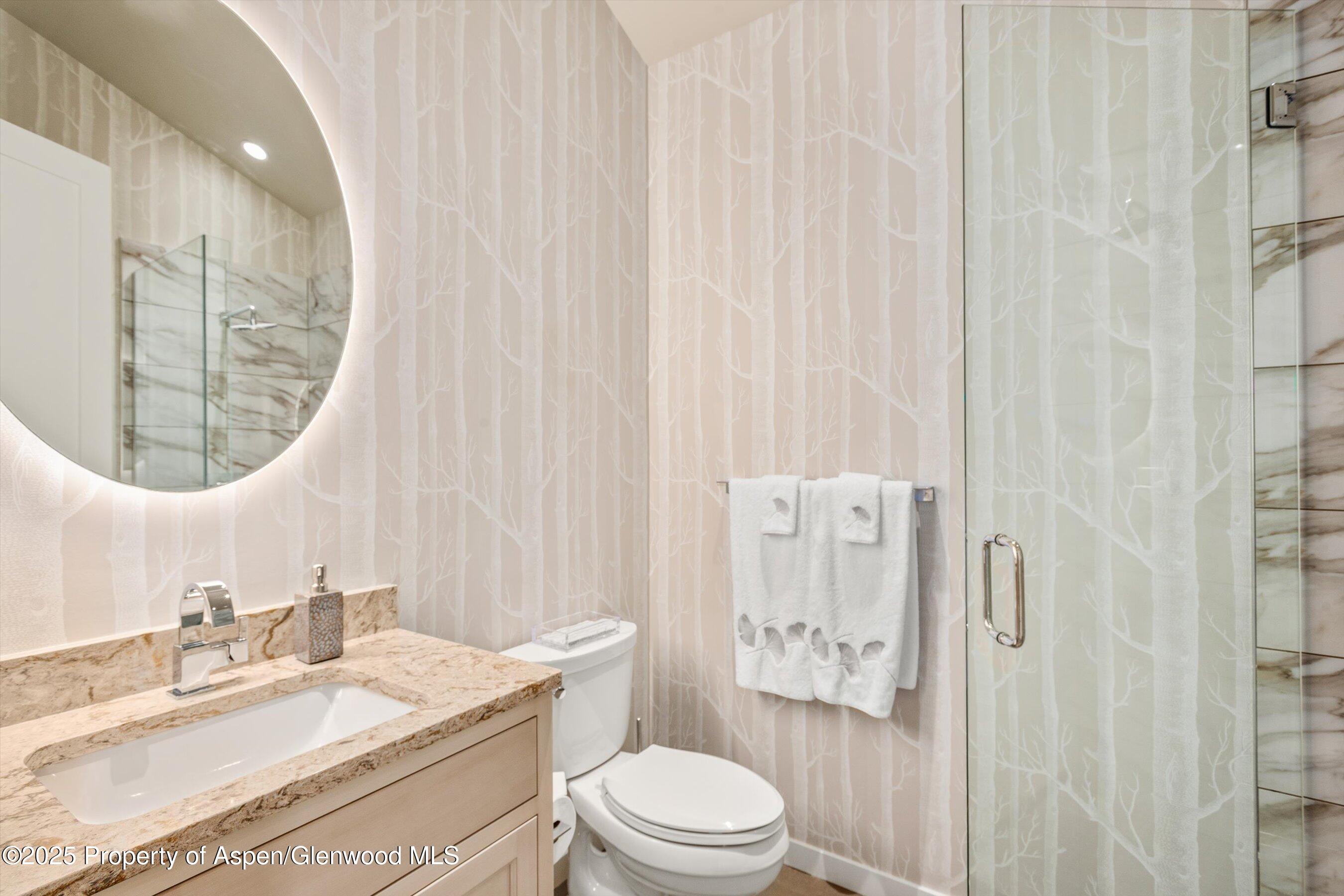 102 Wild Spring Lane Basalt, CO 81621 - Photo 29 of 51 a bathroom with a granite countertop sink a toilet and a mirror