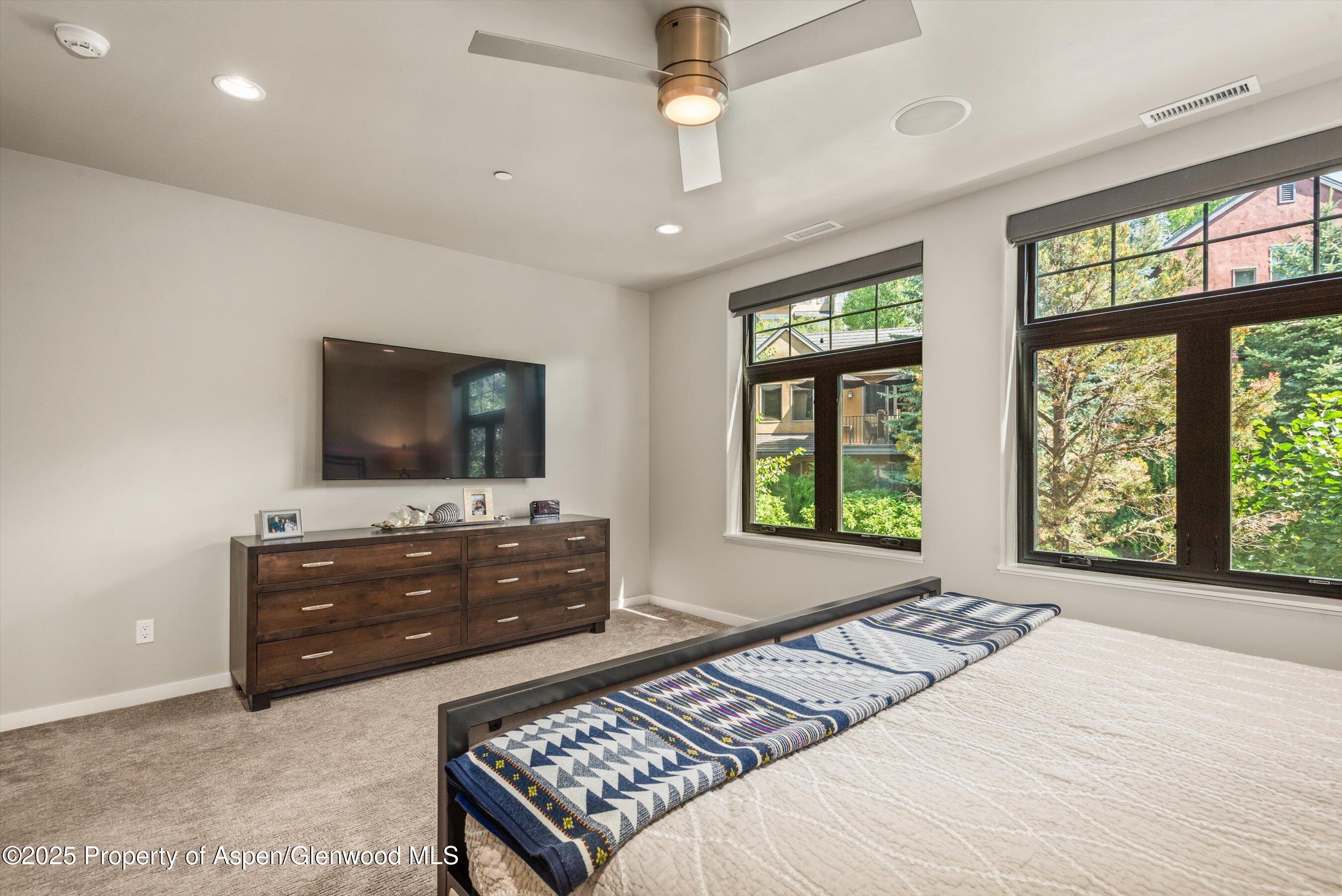 102 Wild Spring Lane Basalt, CO 81621 - Photo 31 of 51 a bedroom with a bed and a flat screen tv
