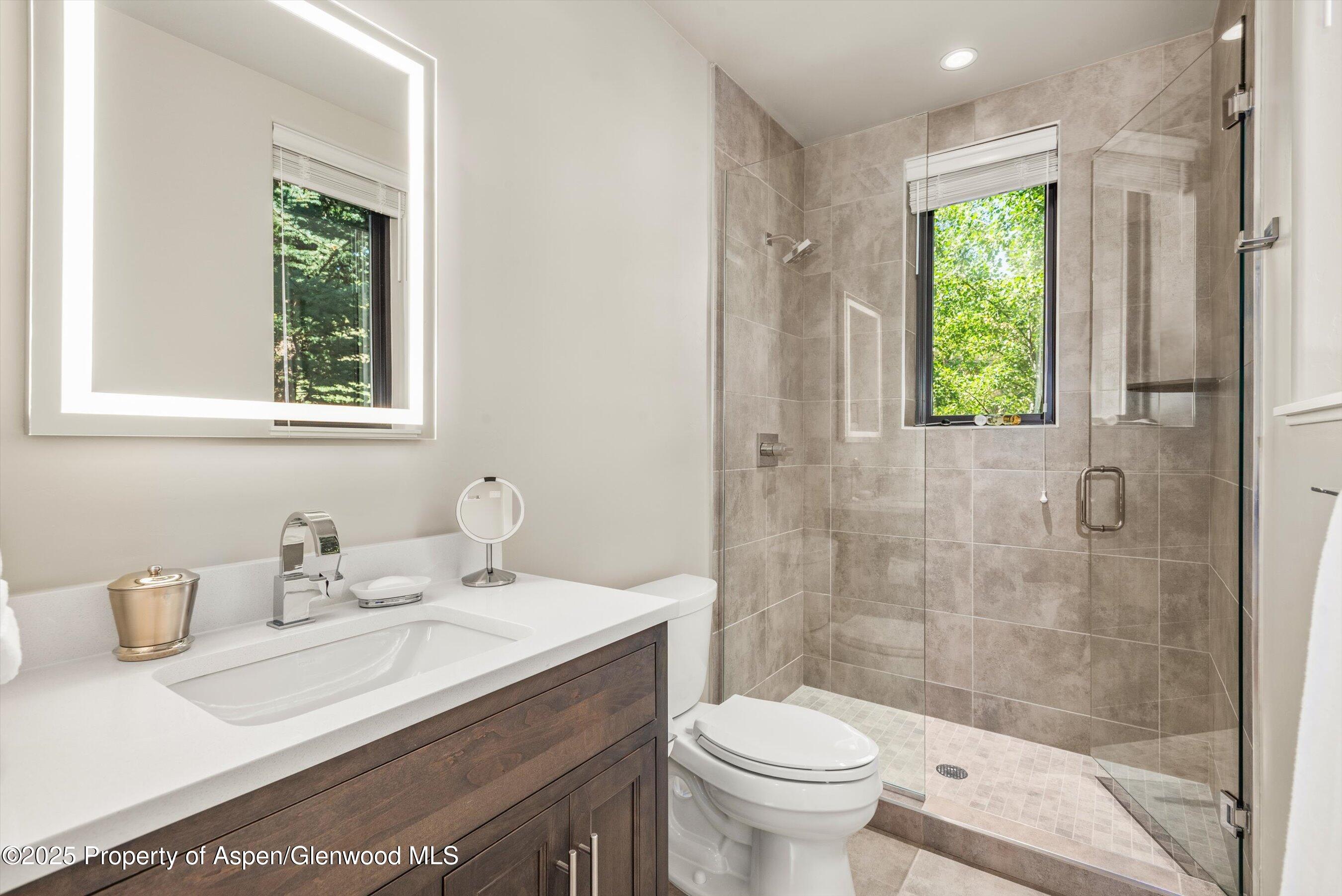 102 Wild Spring Lane Basalt, CO 81621 - Photo 37 of 51 a bathroom with a sink toilet and shower