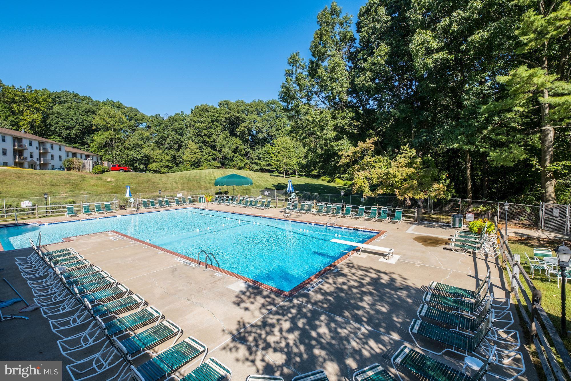 5902 Kingsford Road Springfield, VA 22152 - Photo 8 of 19 Prince James Pool
