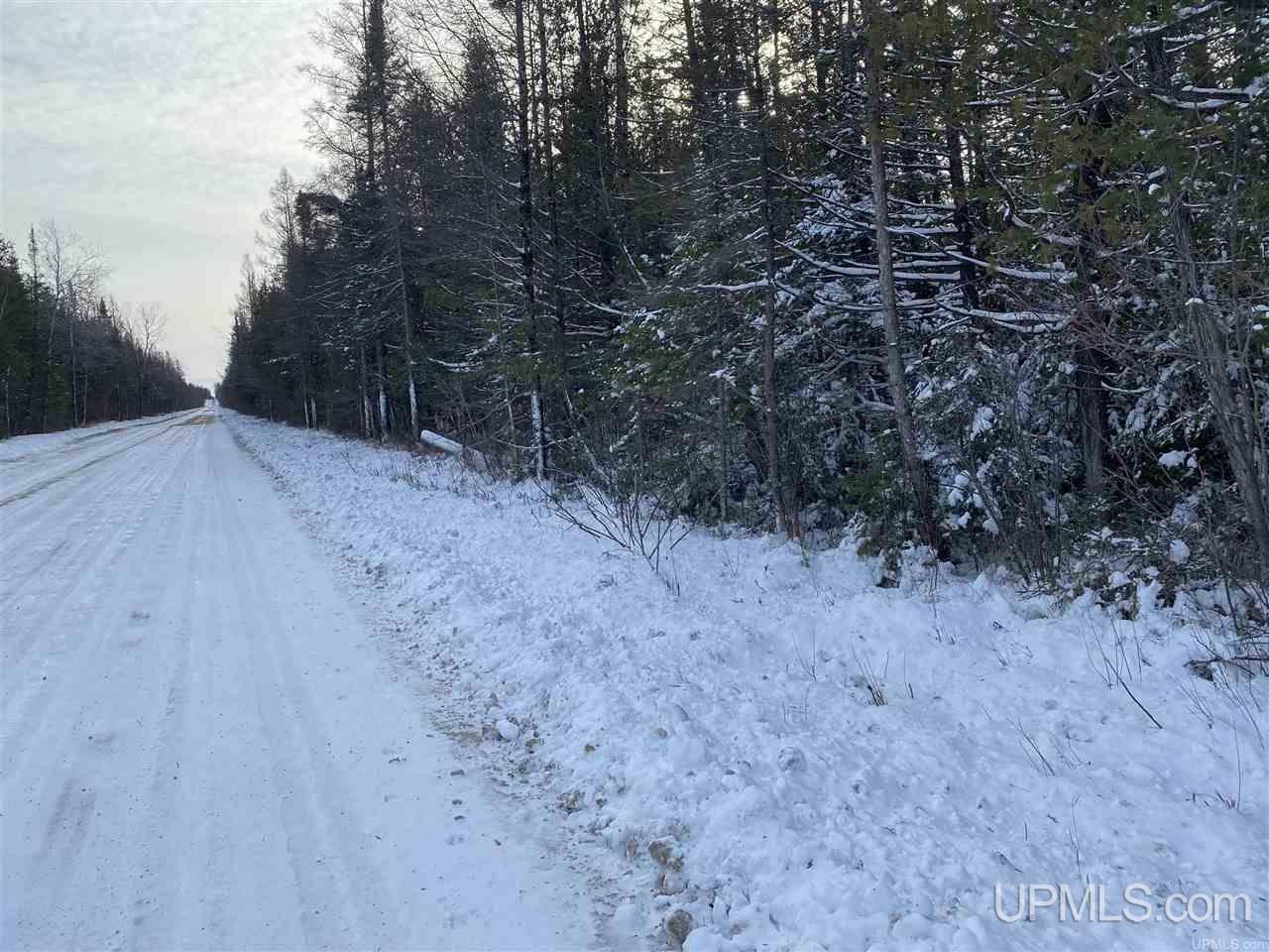 40-acres Vega Road Hermansville, MI 49847 - Photo 3 of 5