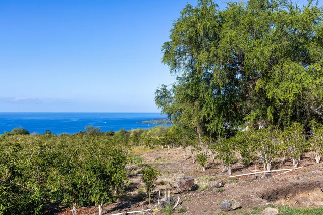 a view of a large yard with lots of green space