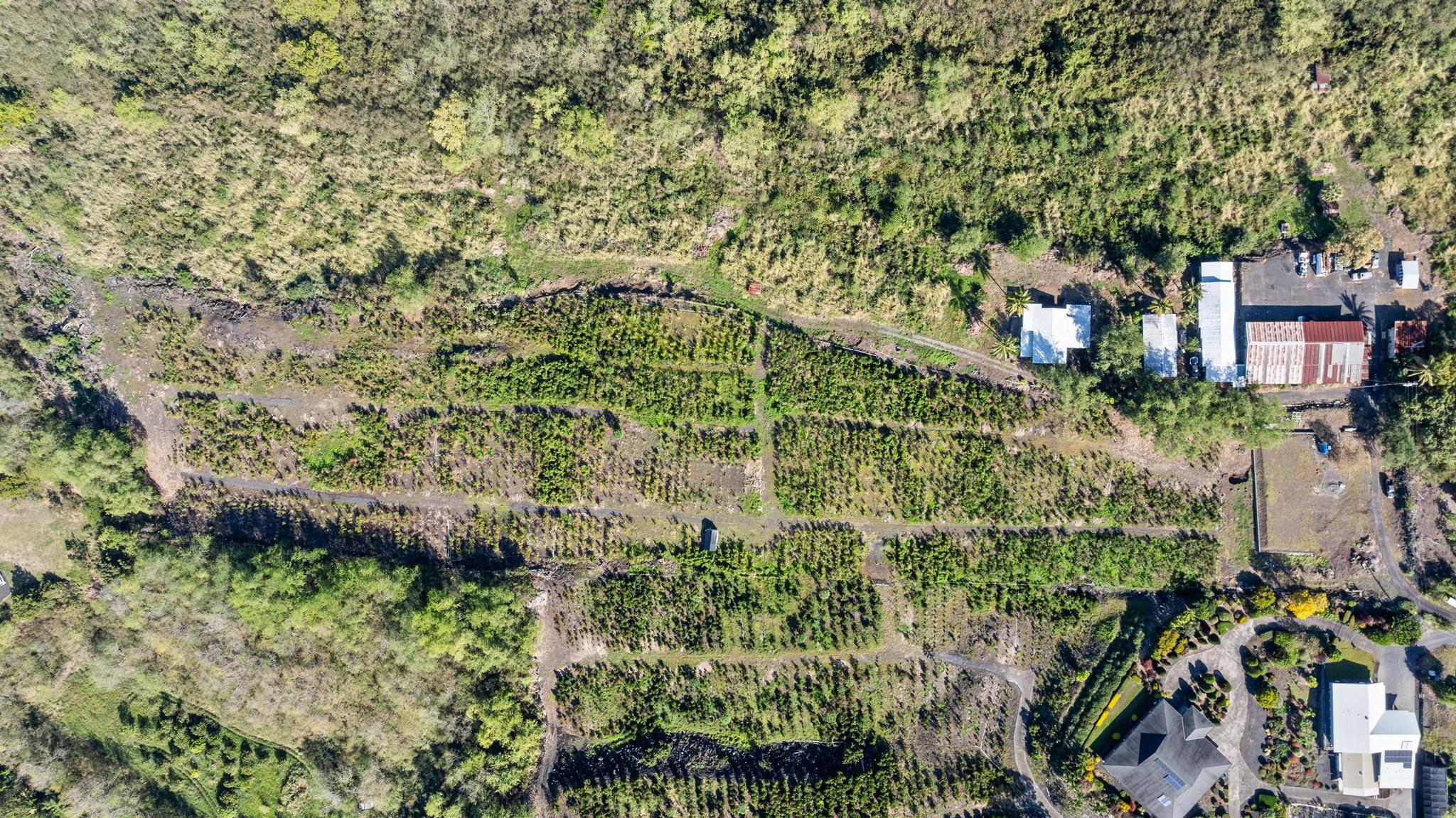 82-1183 Lot Road Captain Cook, HI 96704 - Photo 15 of 22