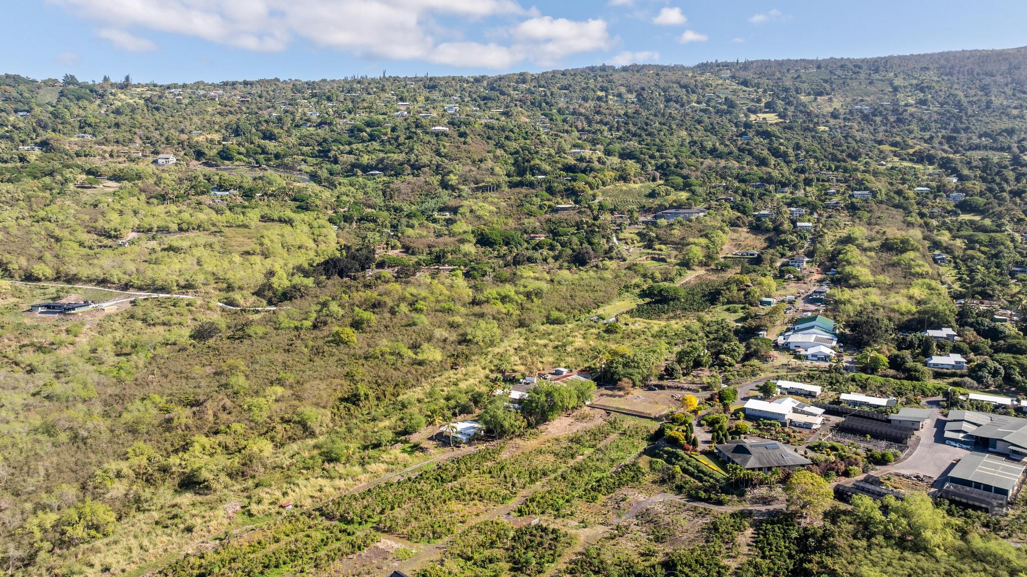 82-1183 Lot Road Captain Cook, HI 96704 - Photo 17 of 22