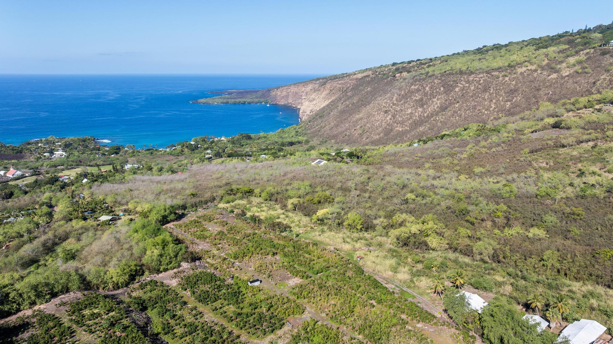 82-1183 Lot Road Captain Cook, HI 96704 - Photo 19 of 22