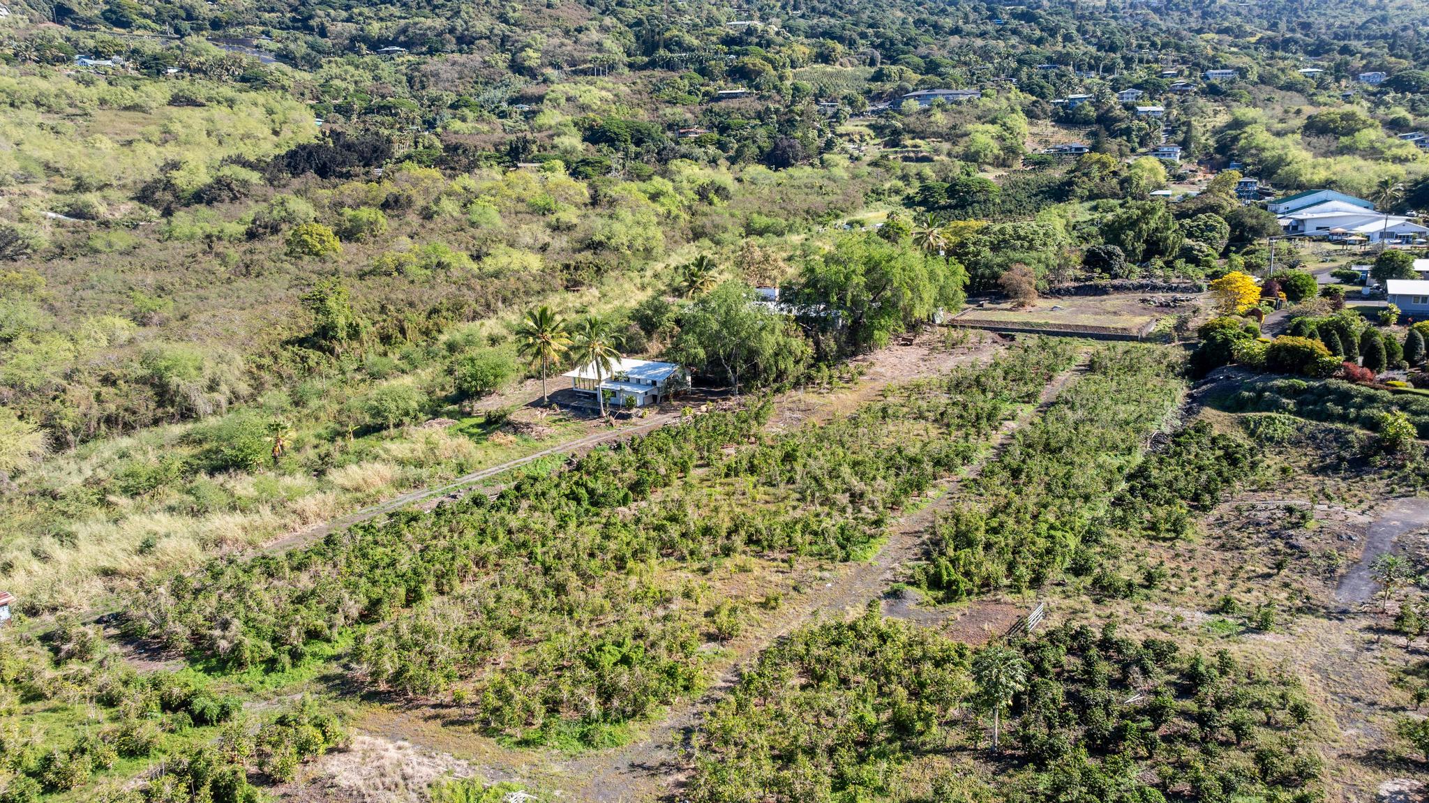 82-1183 Lot Road Captain Cook, HI 96704 - Photo 20 of 22