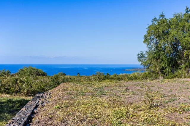 a view of a yard with an ocean