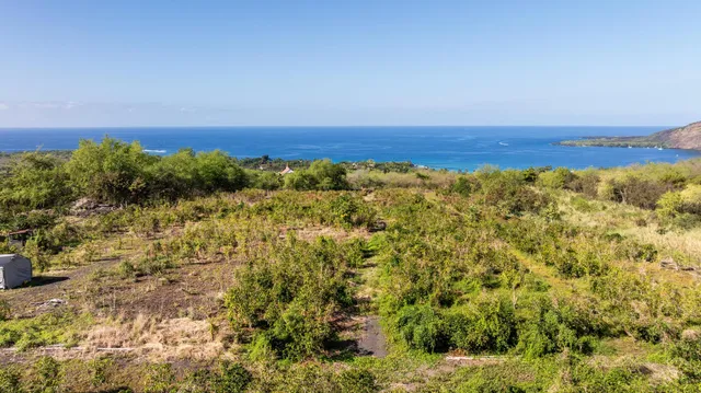 a view of a houses with a yard