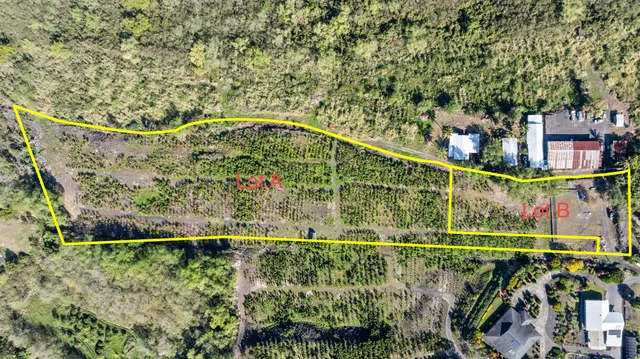 a view of a pathway with a small yard