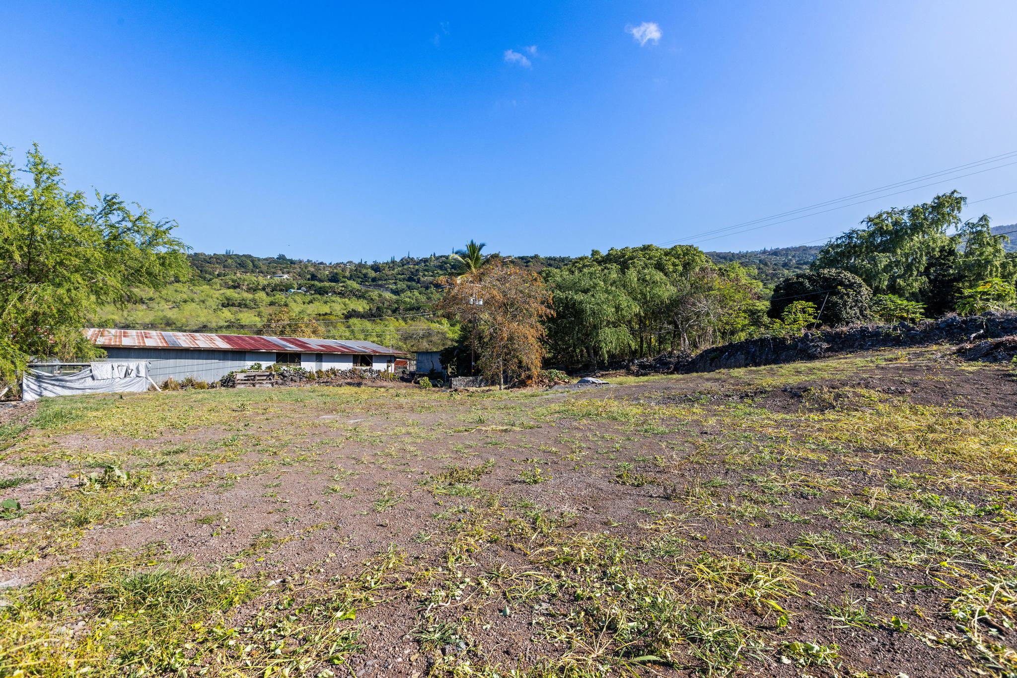 82-1183 Lot Road Captain Cook, HI 96704 - Photo 5 of 22