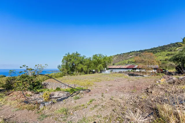 a view of a dry yard with trees in the background