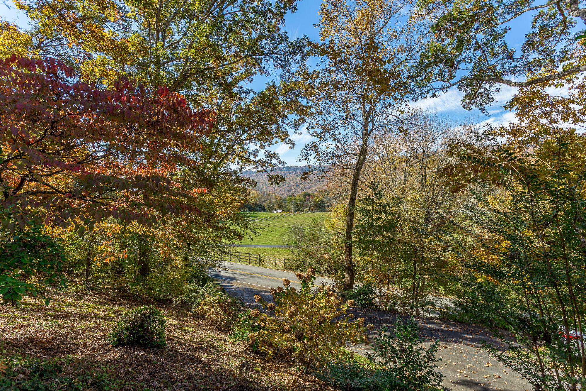 5004 Browntown Road Chattanooga, TN 37415 - Photo 10 of 40 5004 Browntown Road-17